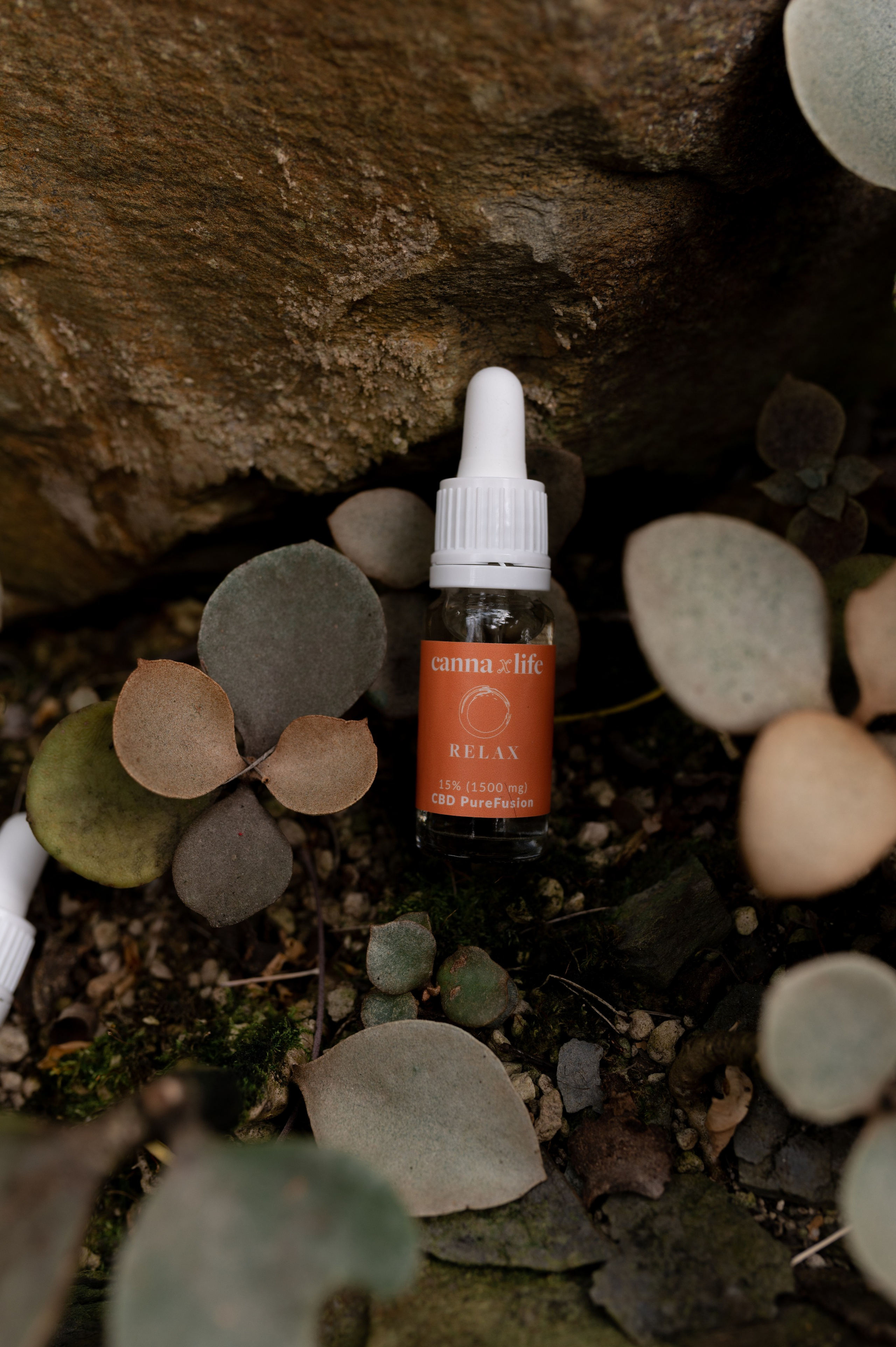 CannaXlife CBD products. ANNA-MARIA PHOTO CONTENT CREATOR — фотограф, эстет, художник и визуальный эксперт в Instagram, работающий в Праге