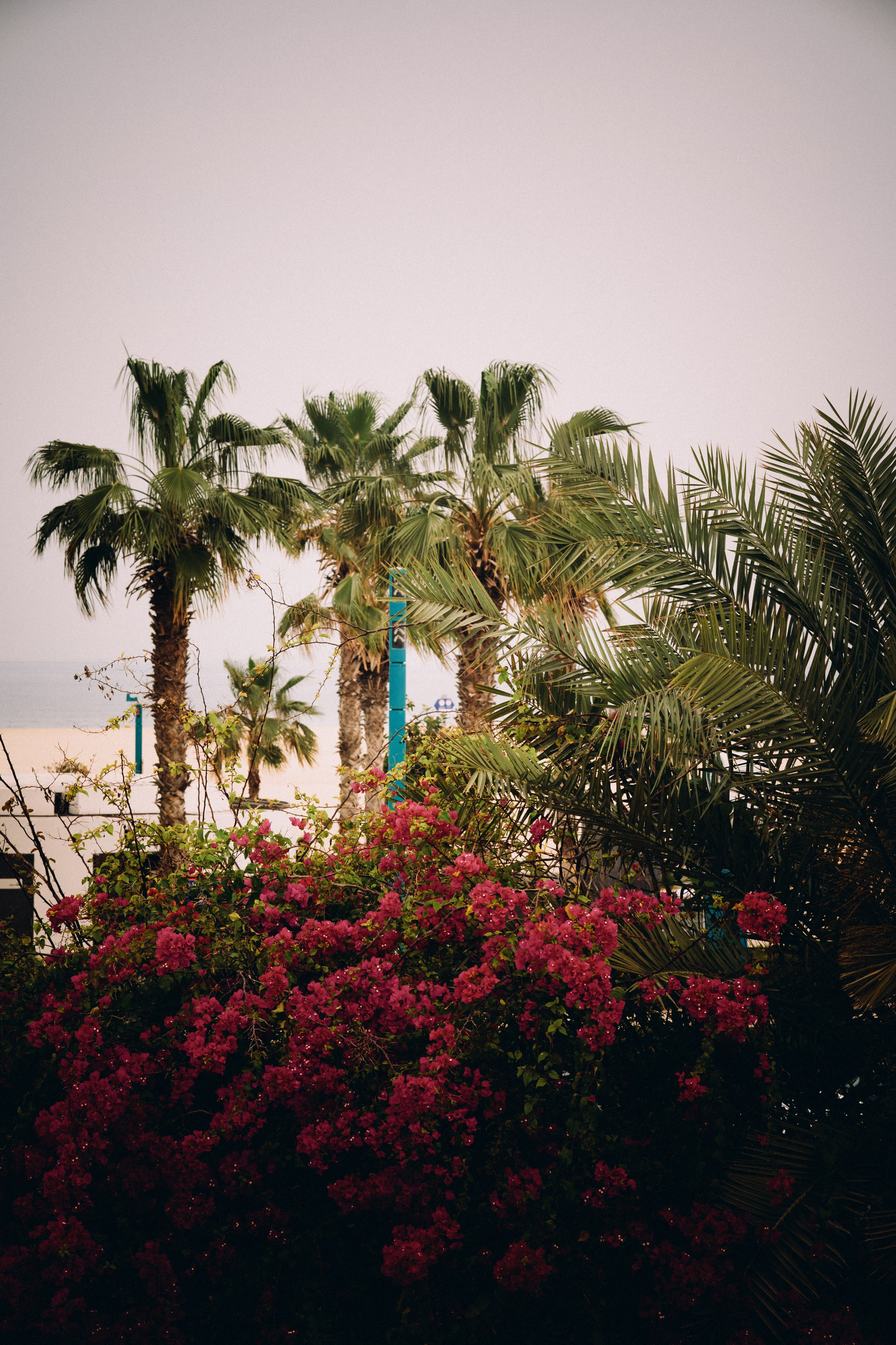 Yoga. Elena Pretzner Photography