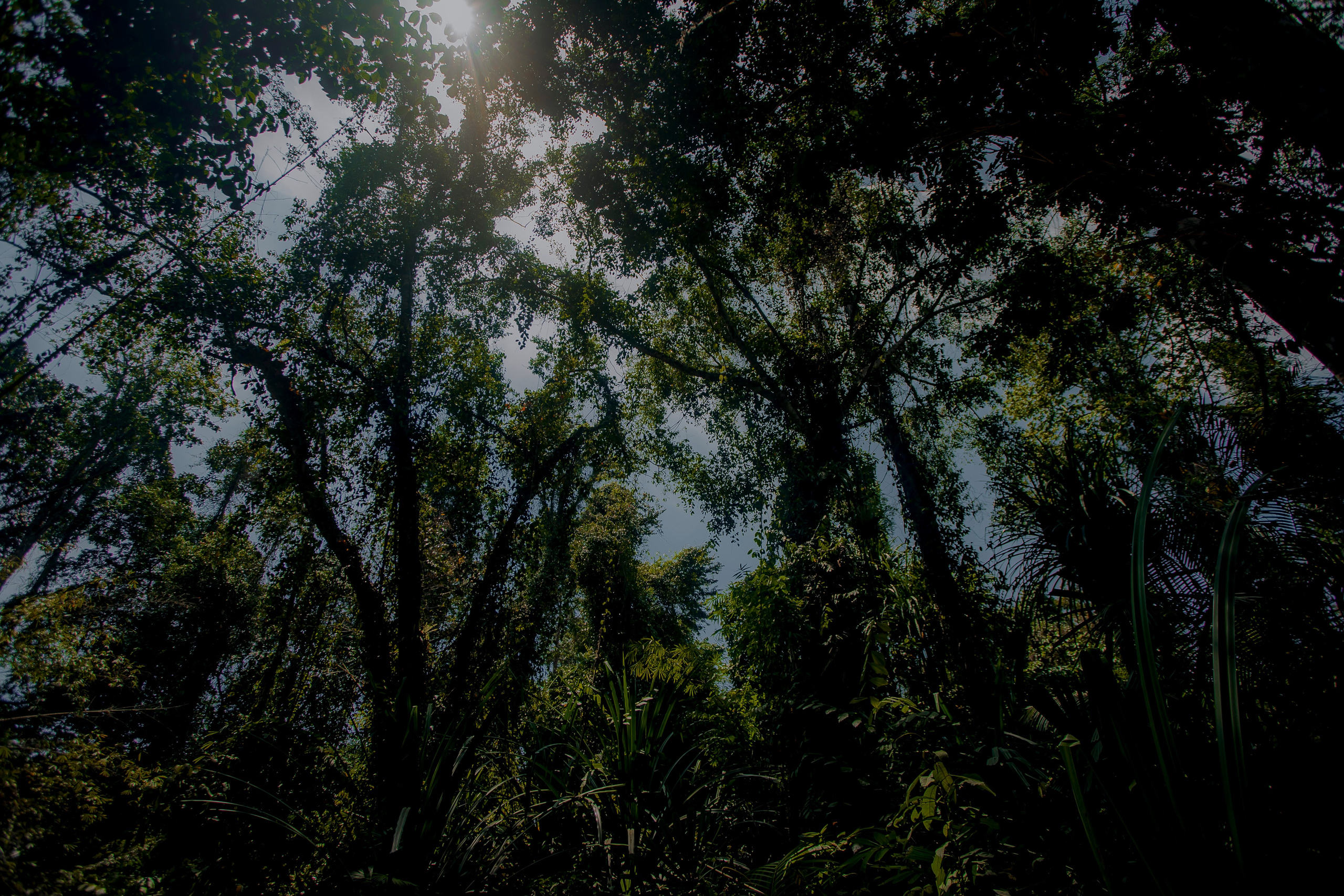 Andaman Islands, Part2. Art Photographer