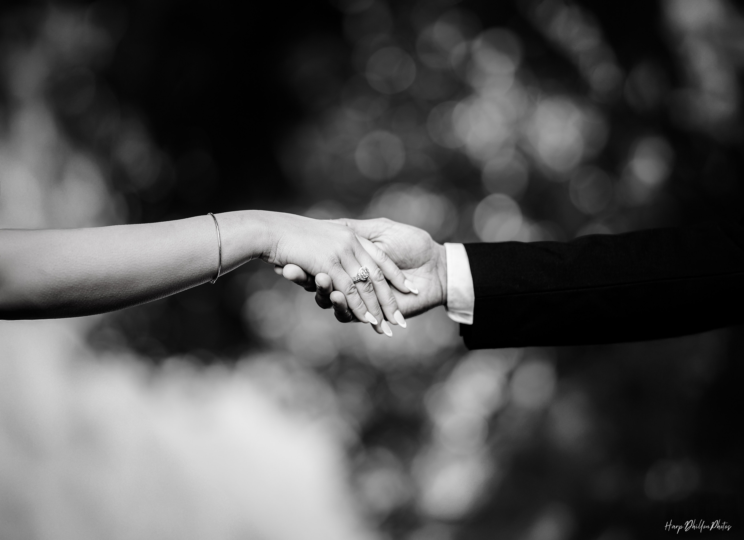 Portfolio. HarpDhillon Photos