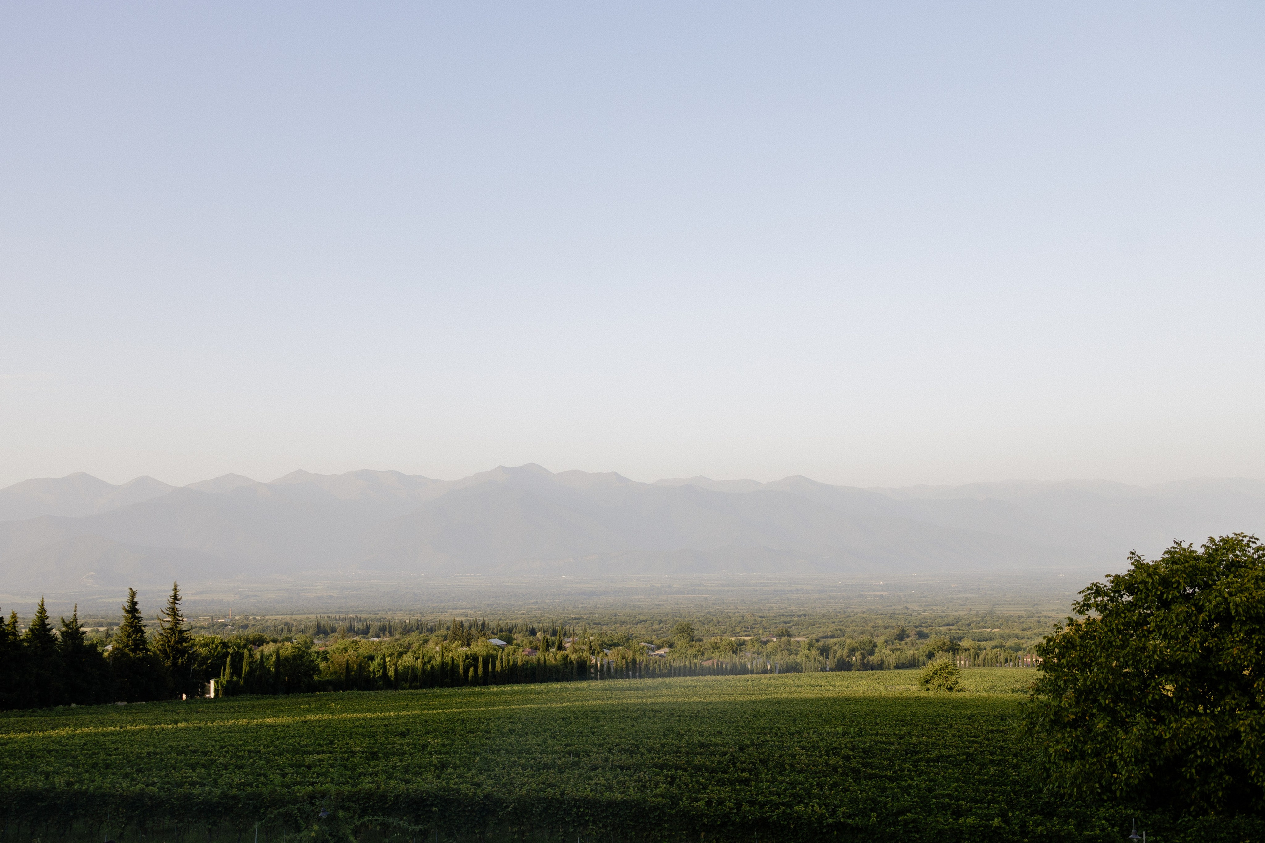Ninutsa & Irakli. Photographer Anna Nazarenko