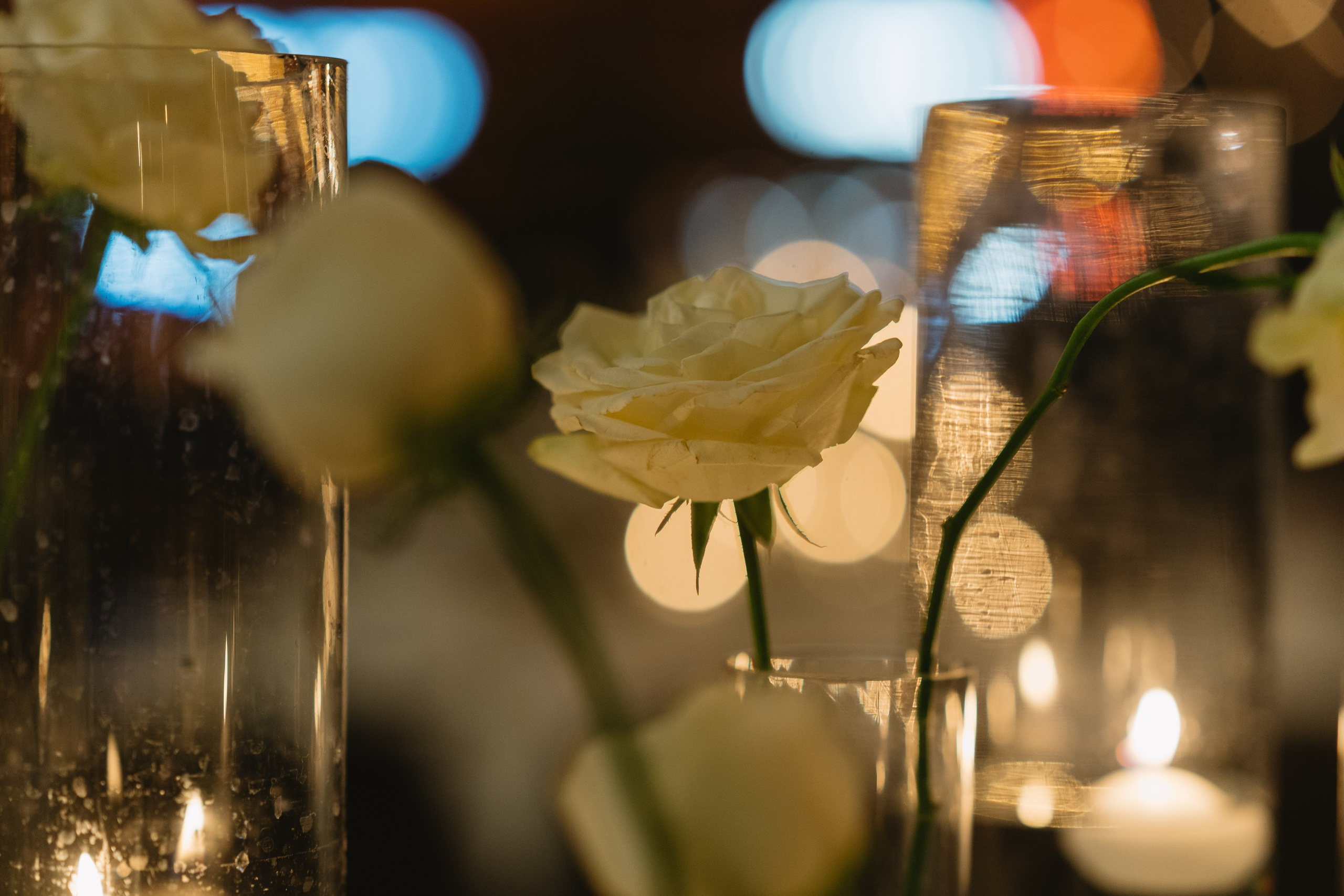 Interior & Venue. Portrait & Event Photography | Israel | David Shafirov