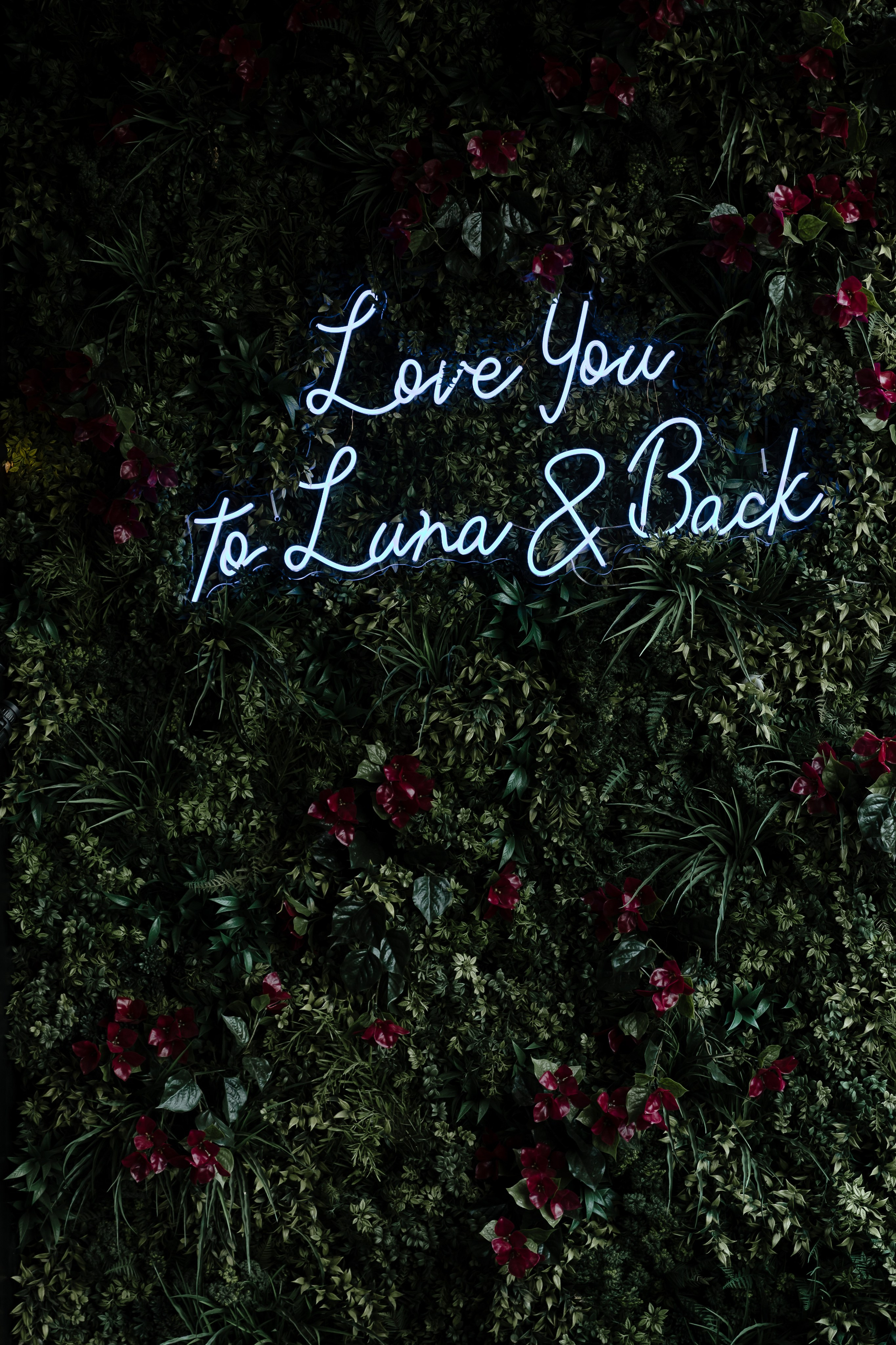 Ashley & Shawn | Intimate Wedding in Portland, ME