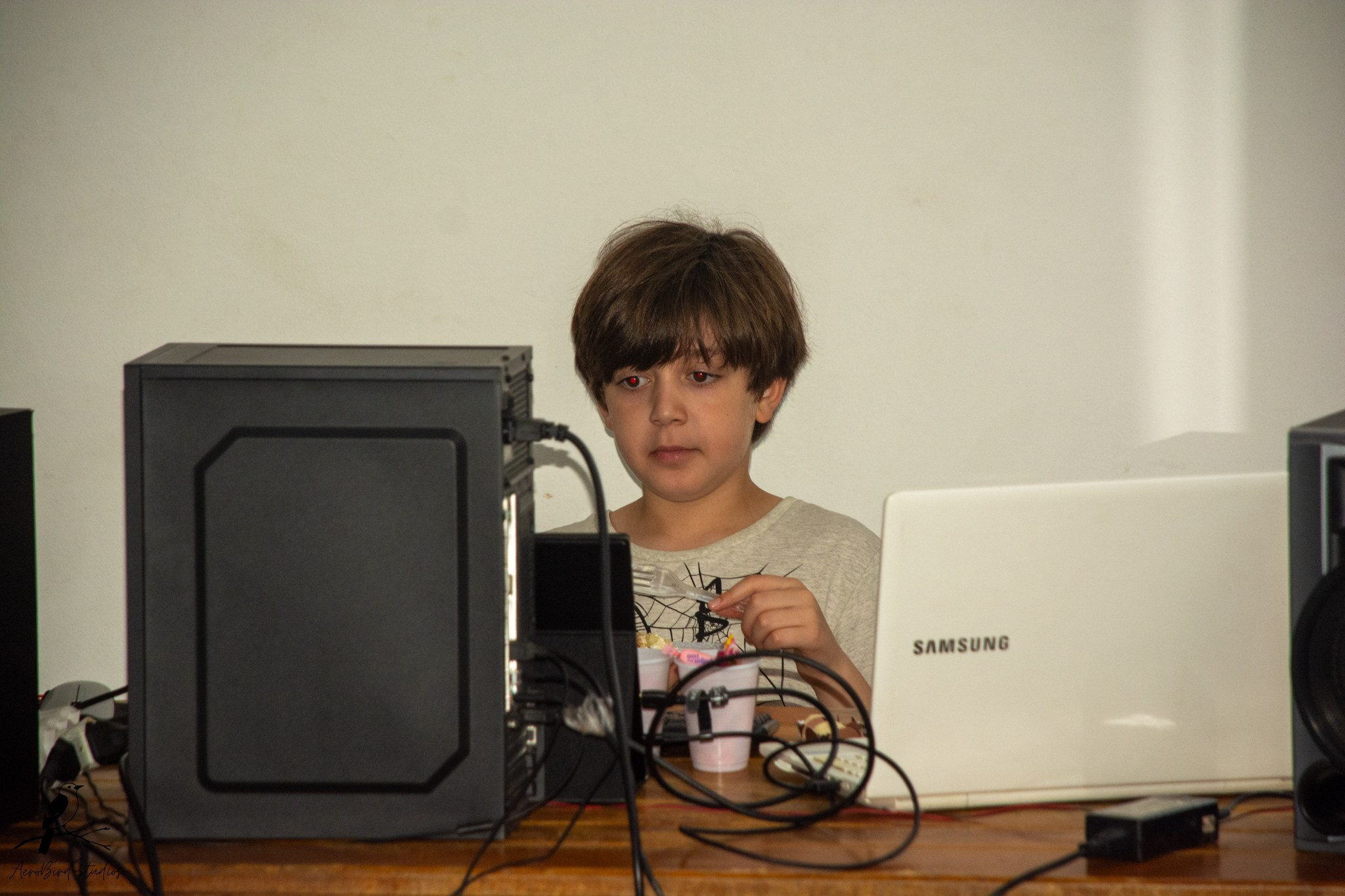 Leonardo 8 ano. AerobirdStudios