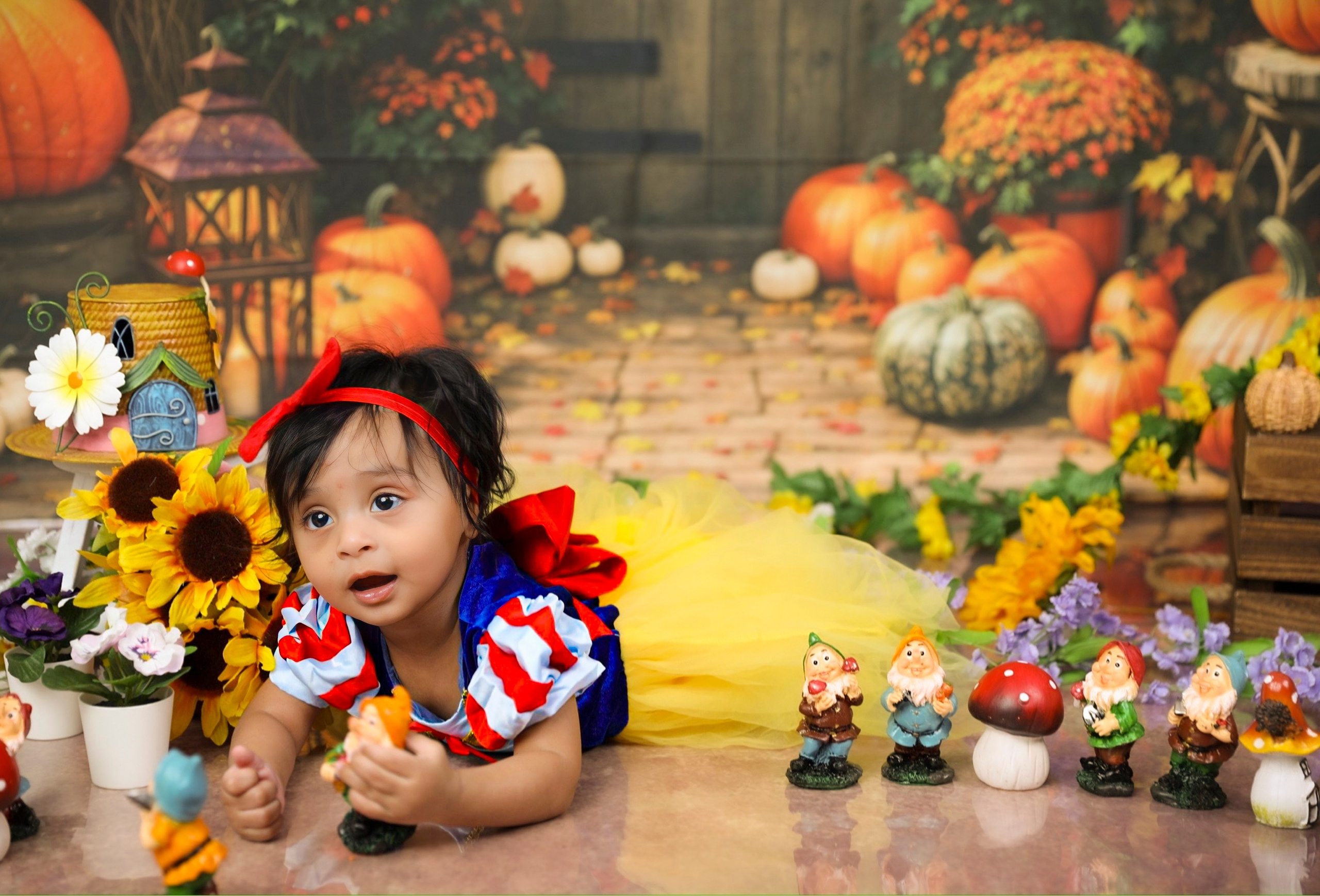 Fall and Halloween. AP Lens Photography | Newborn, Maternity, Milestone & Family Photographer Little Elm TX
