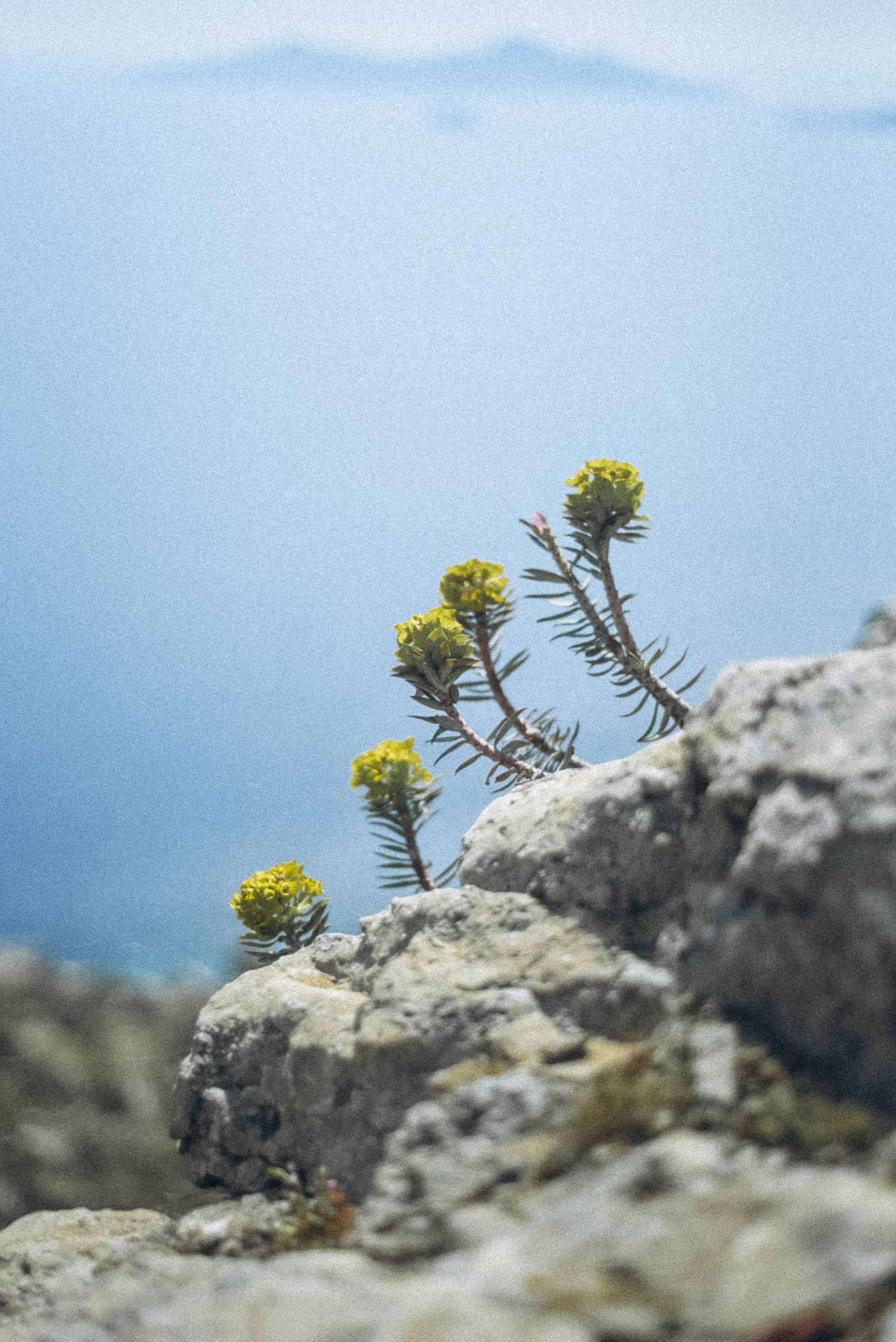 Дикиос, Кос 🇬🇷. Anita_photo