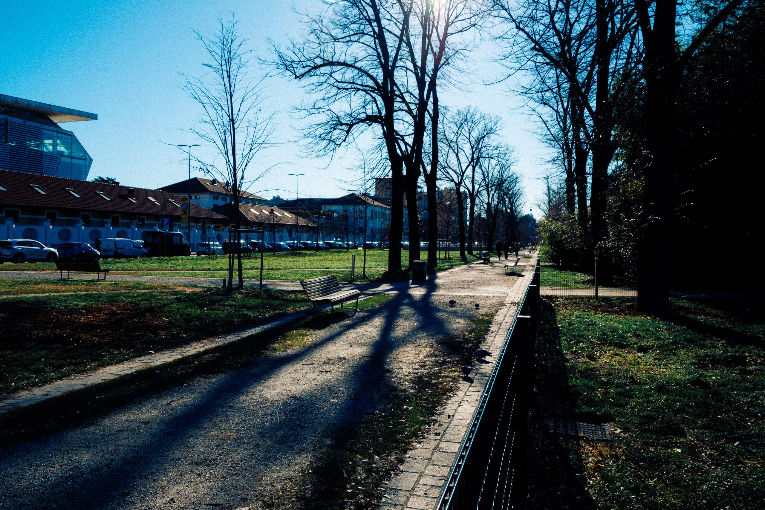 January in park. Анастасия Бучинская фотограф в Милане