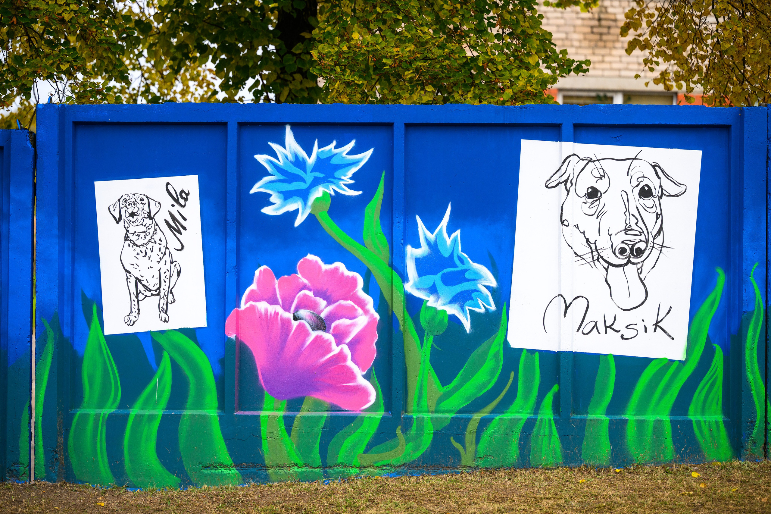 Rēzeknes dzīvnieku patversmes izglesnotās sienas atklāšana. Ritvars Pujats Emotion Photographer