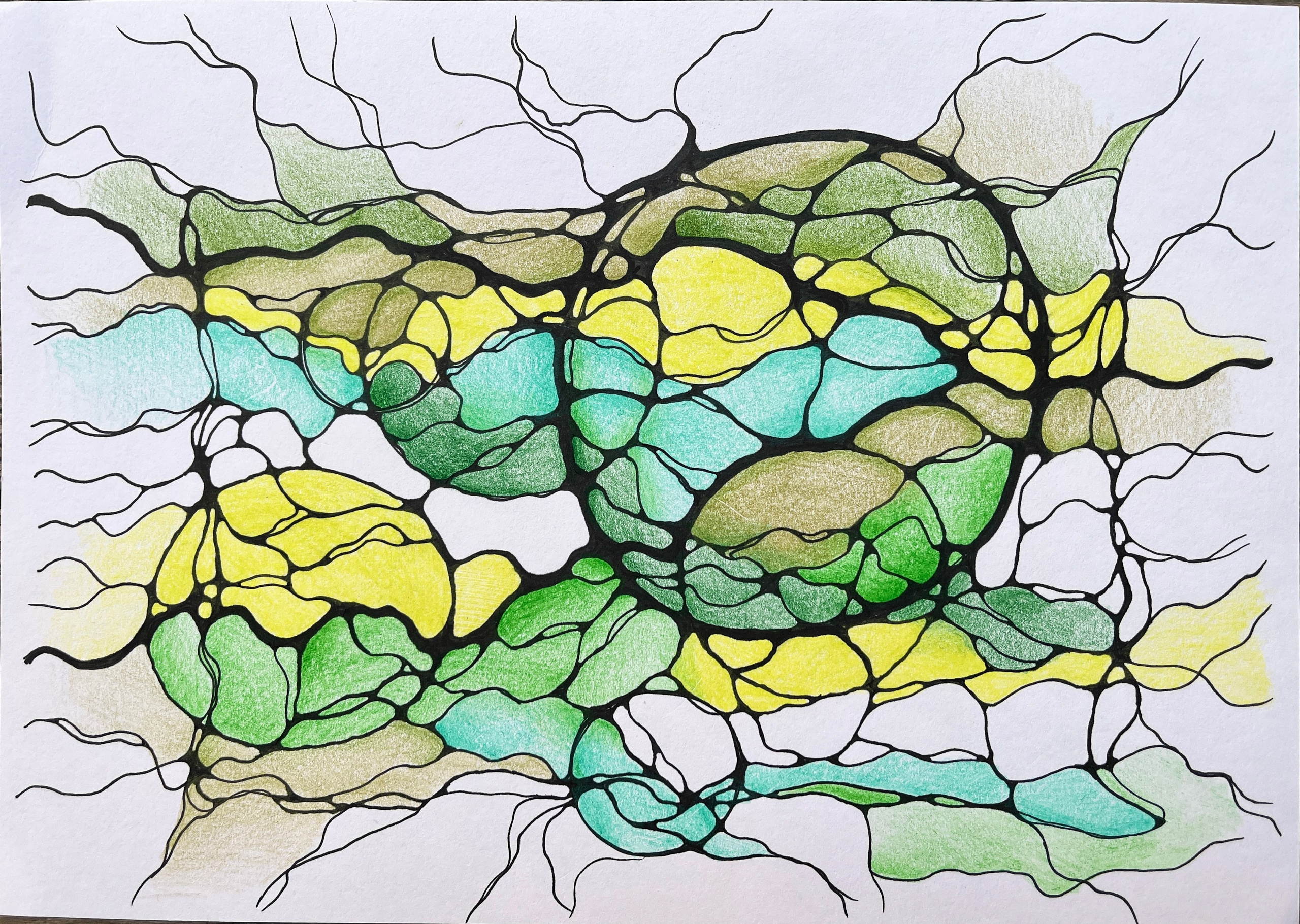 Moje slike. Numerologija. Nevrografika. Delavnice