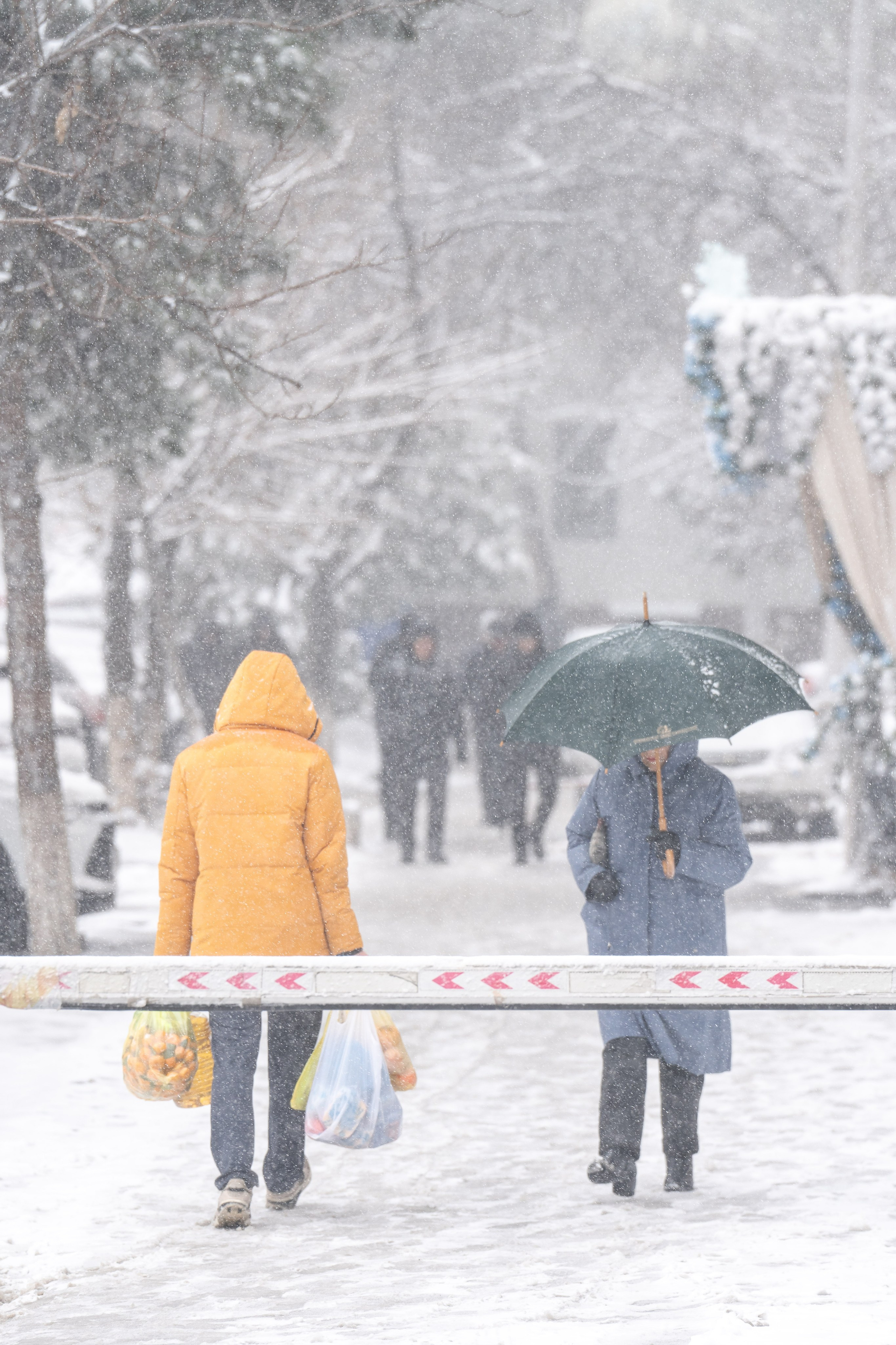 Снег. Георгий Намазов | Фотограф в Ташкенте