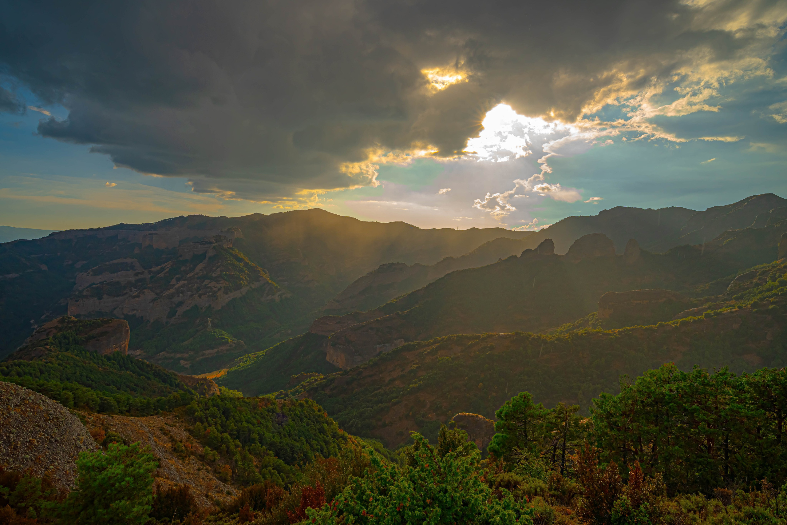 Lila. Alba del Norte Studio