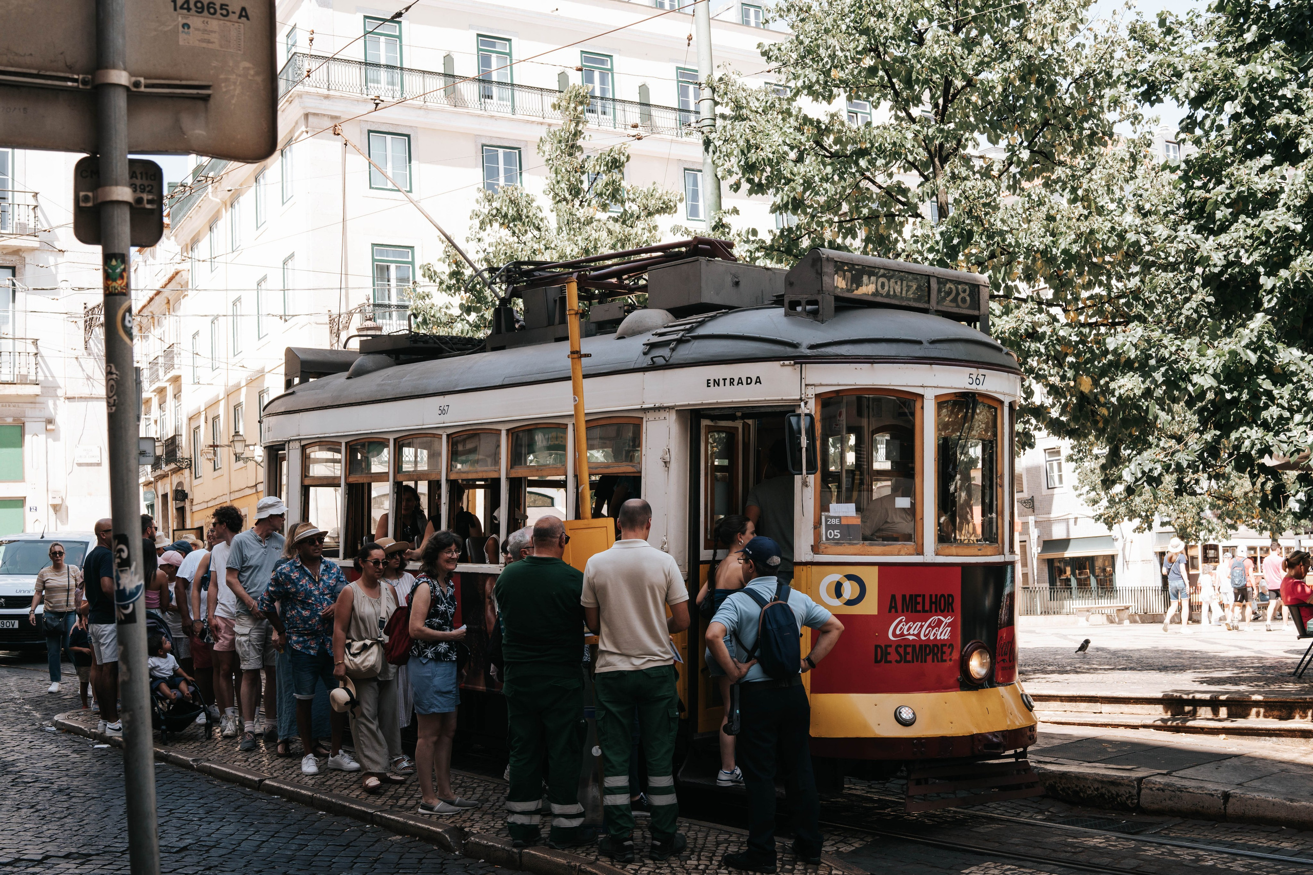 Lisboa, Agosto 2024. Alba del Norte Studio