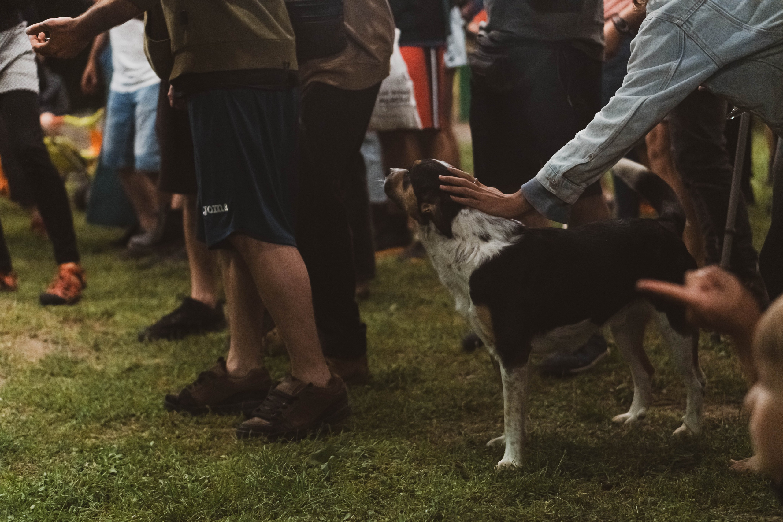 Concierto Senterada 8-06-24. Alba del Norte Studio