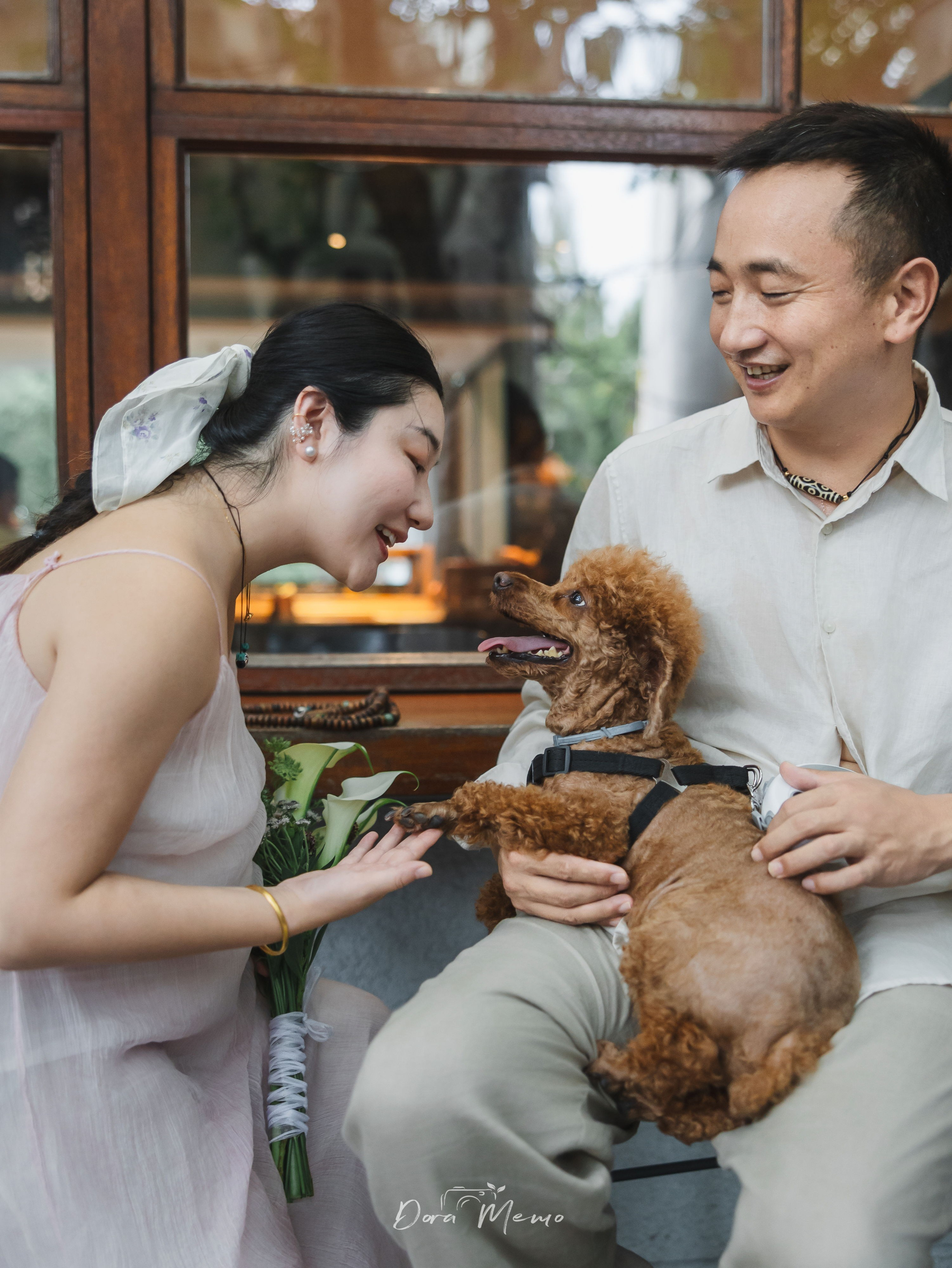 Photos of pets. Shanghai Family Photographer Dora