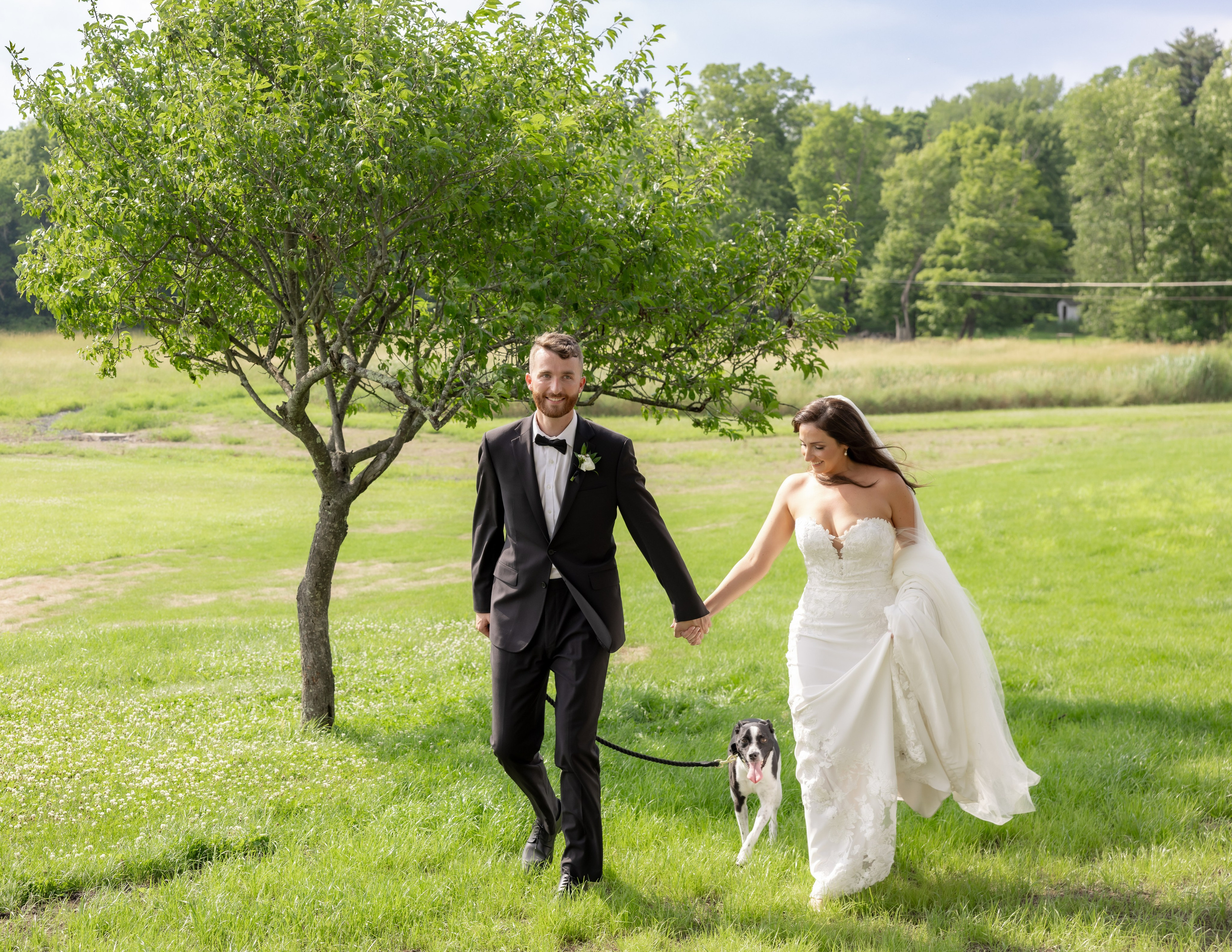 Angelica & Conor. Wedding Photo & Video