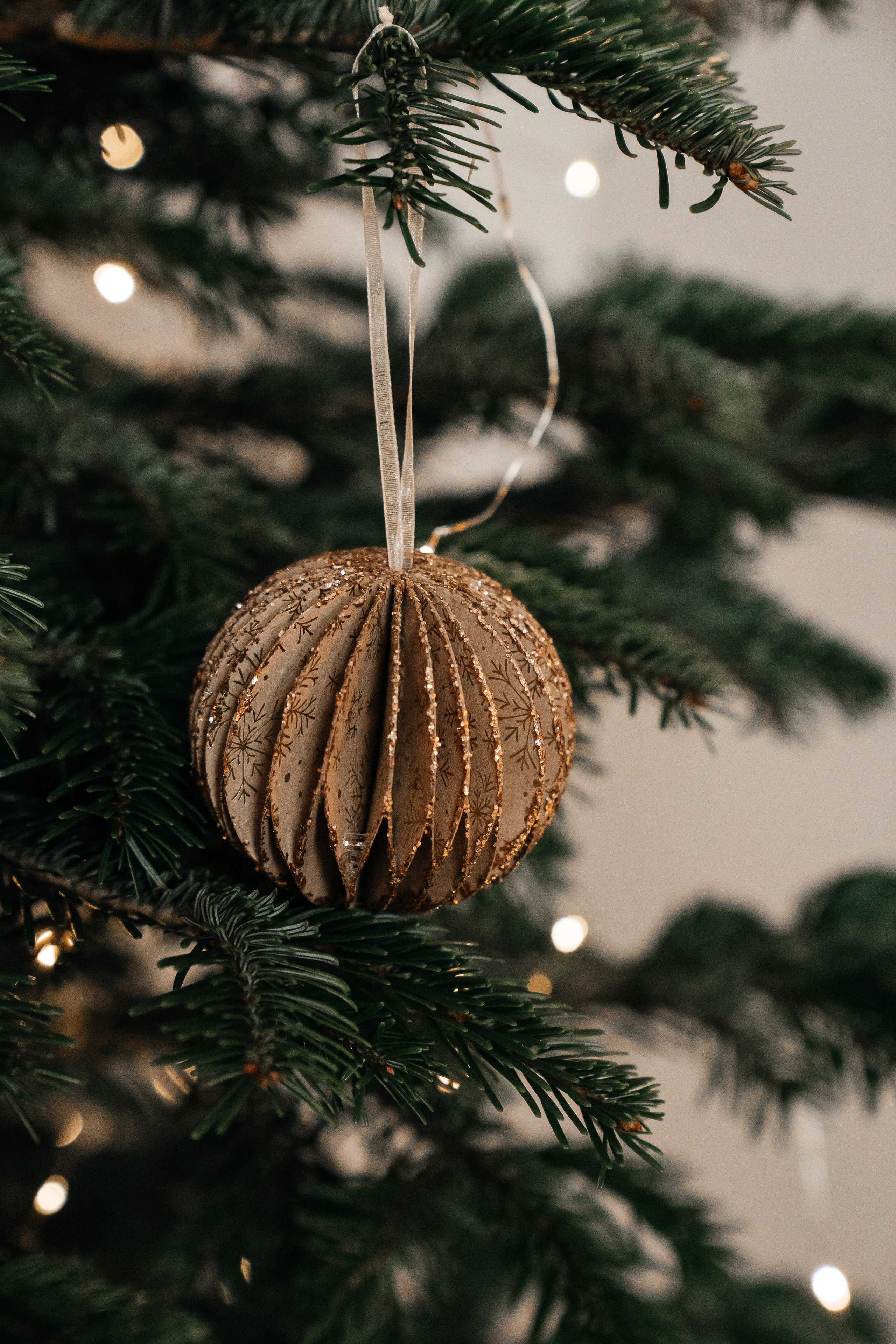 Let it snow!. Hallo, ich bin Nadya - Fotografin aus Linz, Oberösterreich