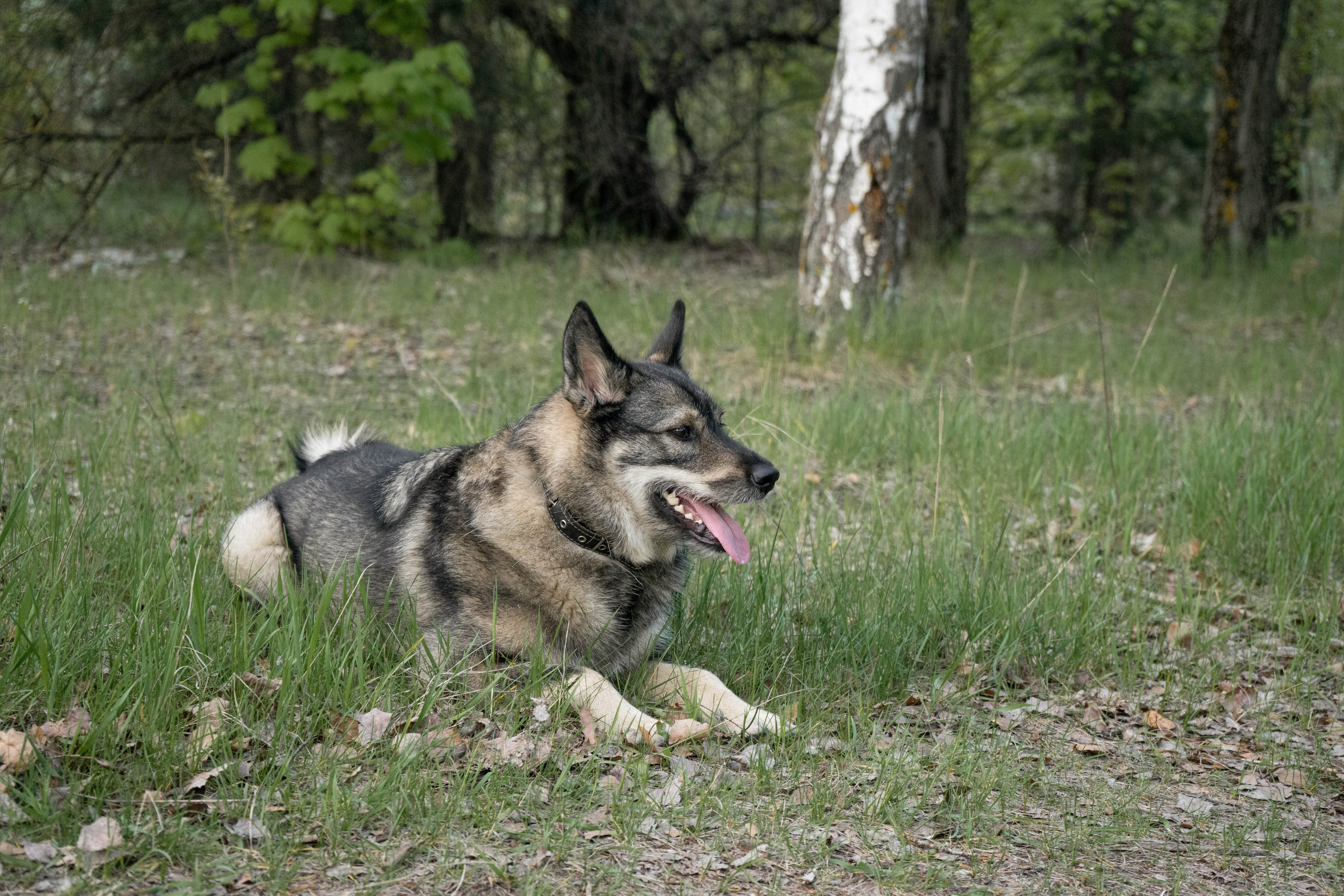 Jack. Lifestyle фотограф Турку. Ловлю эмоции в кадре