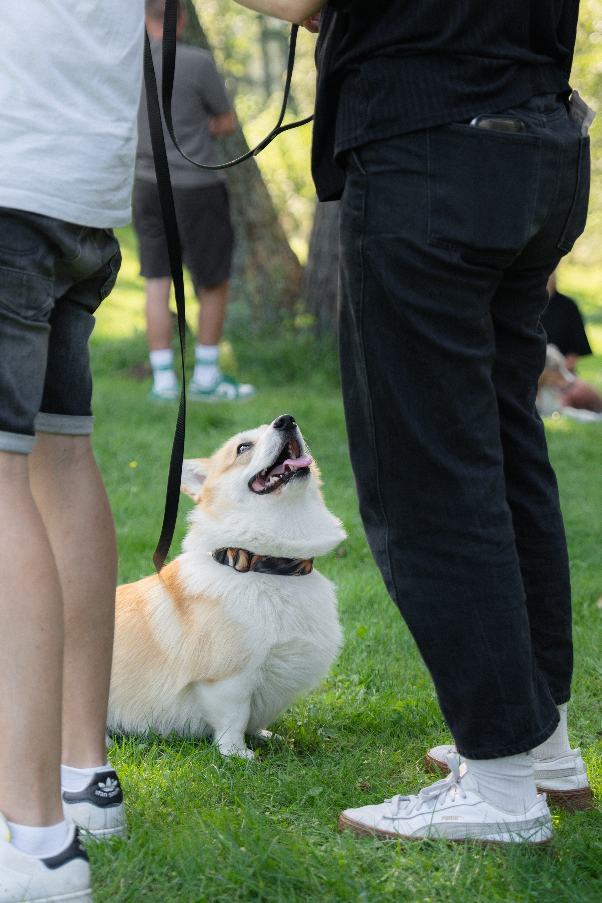 Heppi Dogo fest 2025. Vita Klimaševska ○ Fluffy Soulmate Photography