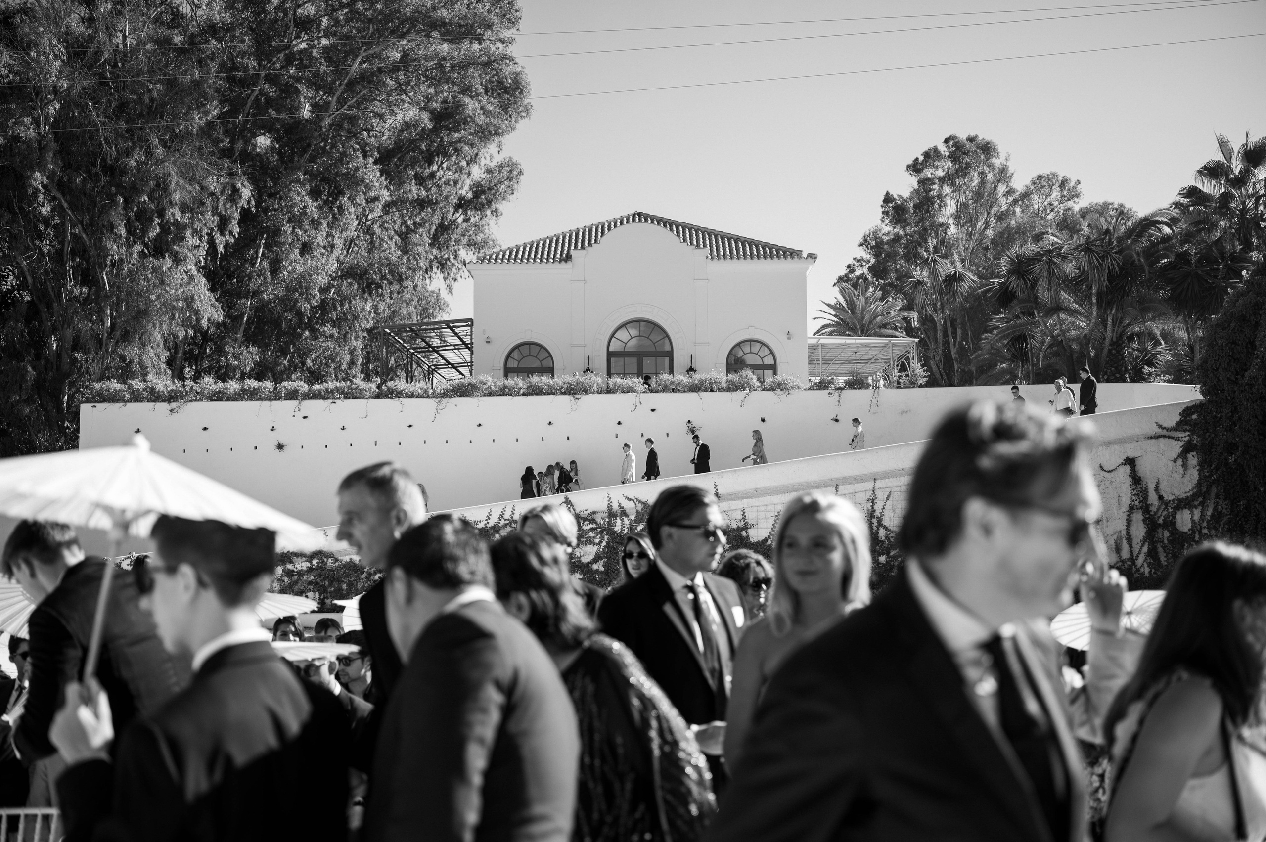 Lala & Daimen. Wedding photographer in Spain