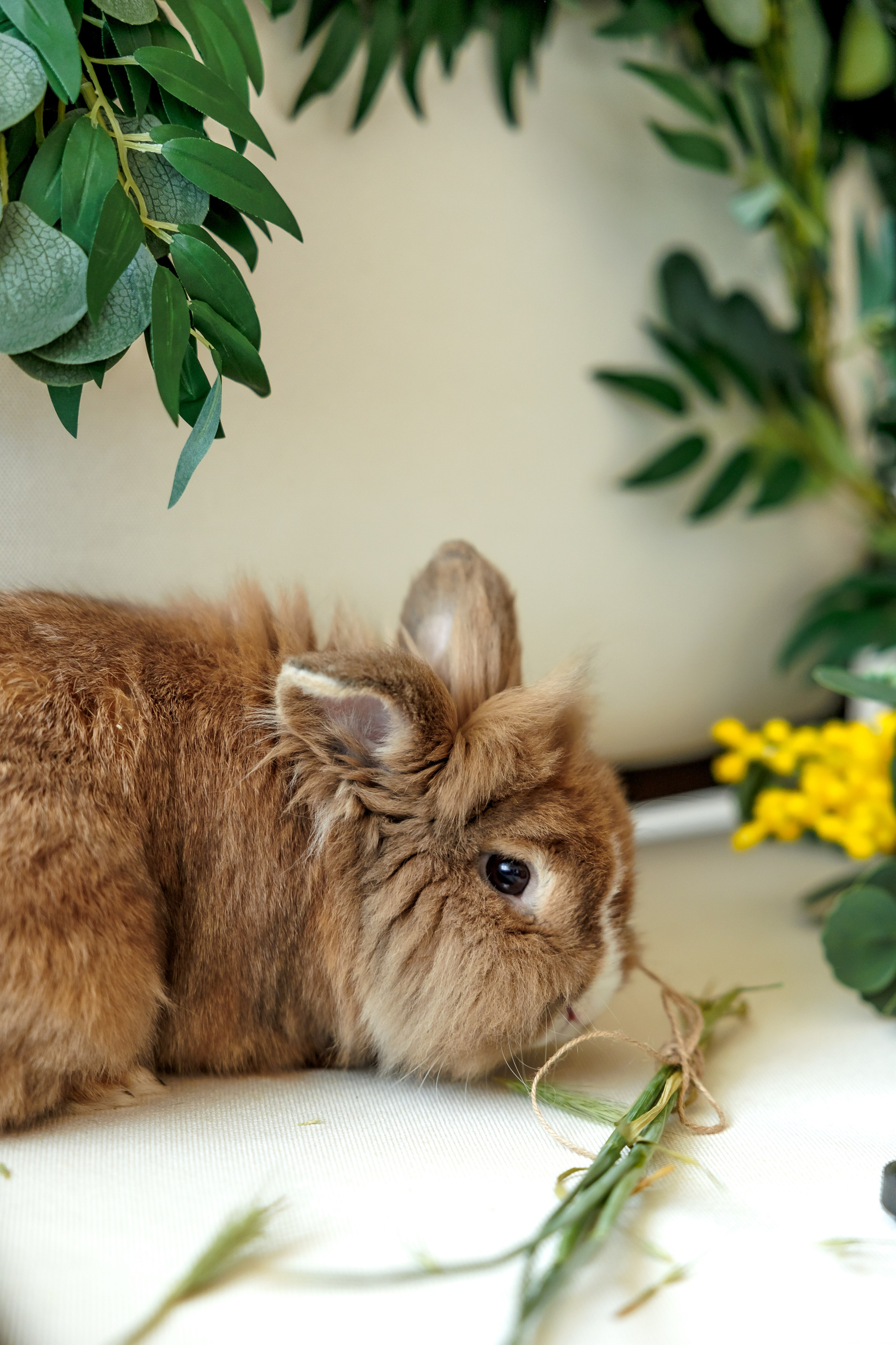 Великден. Фотограф Ирина Йотова