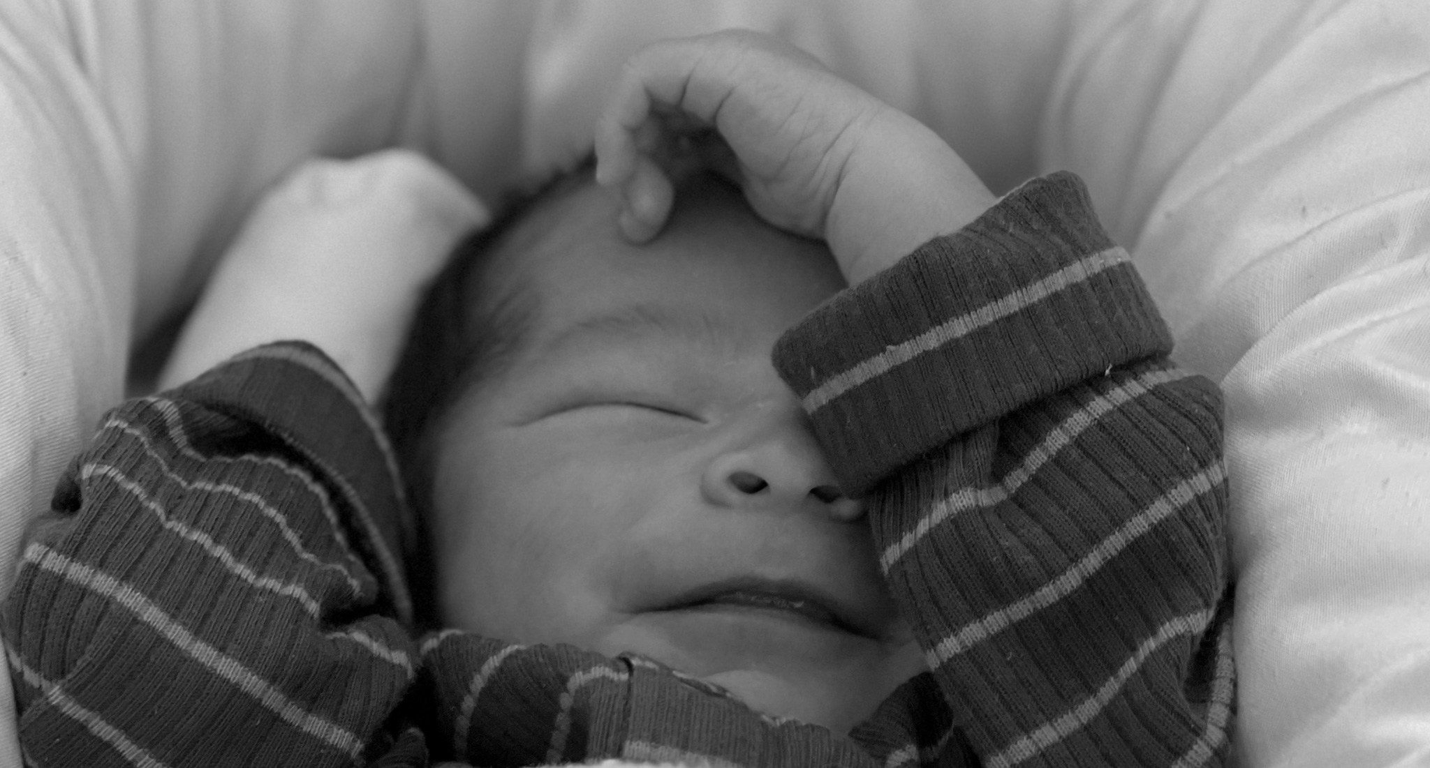 Baby. Fotógrafa Luísa Gomes