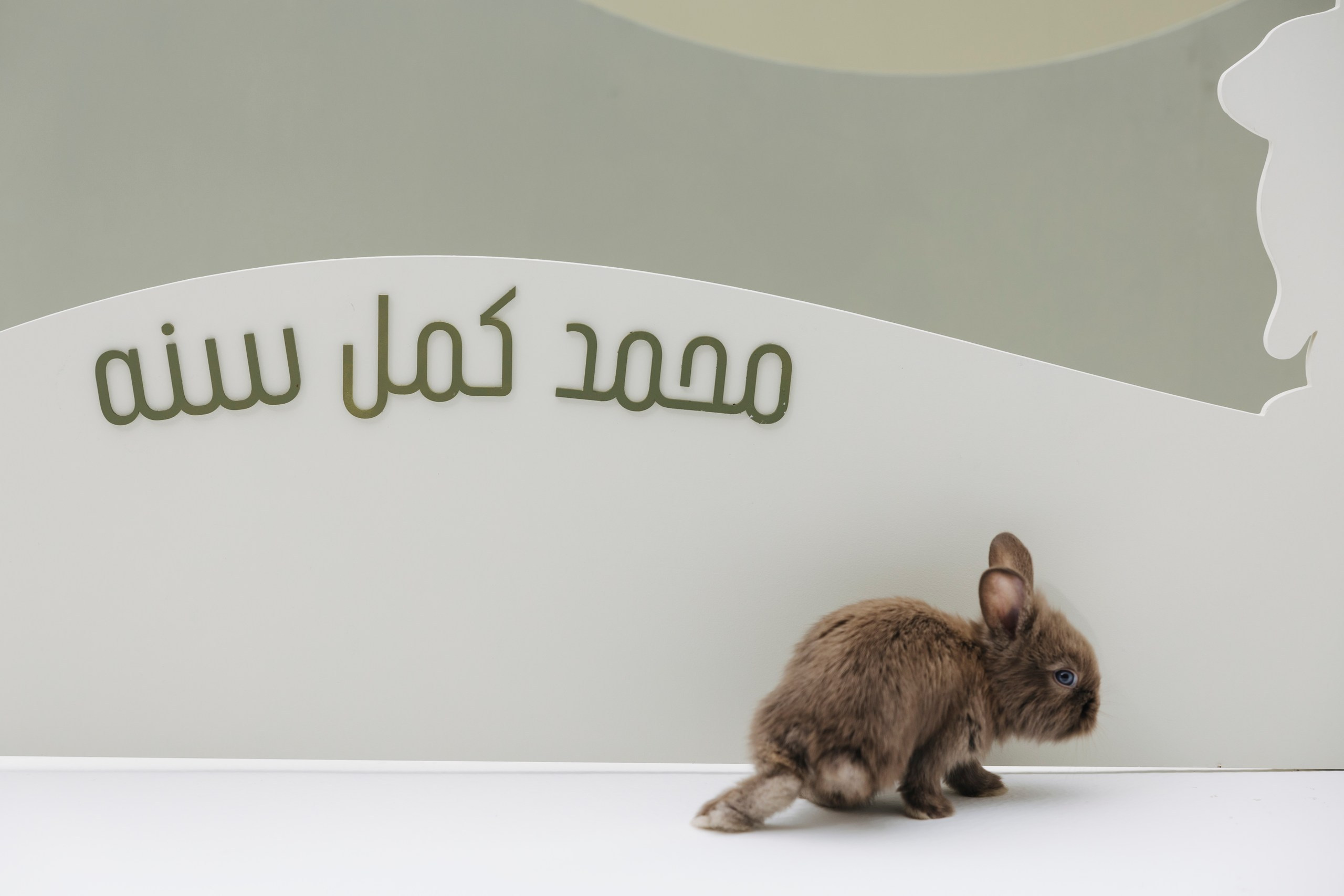 Mohammad turns 1. Wedding, Maternity & Family Photographer in Dubai, UAE & Worldwide