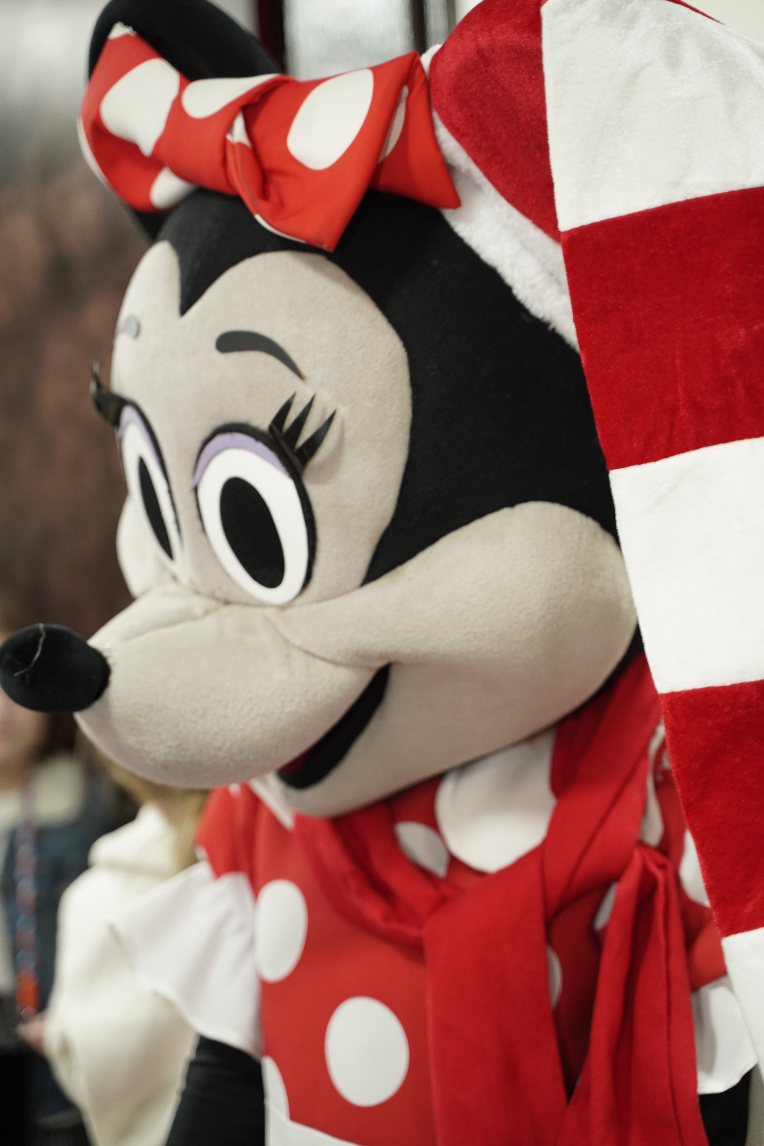 Новогодняя сказка. Фотограф. Визуал. Хайфа. Талья Цветкова