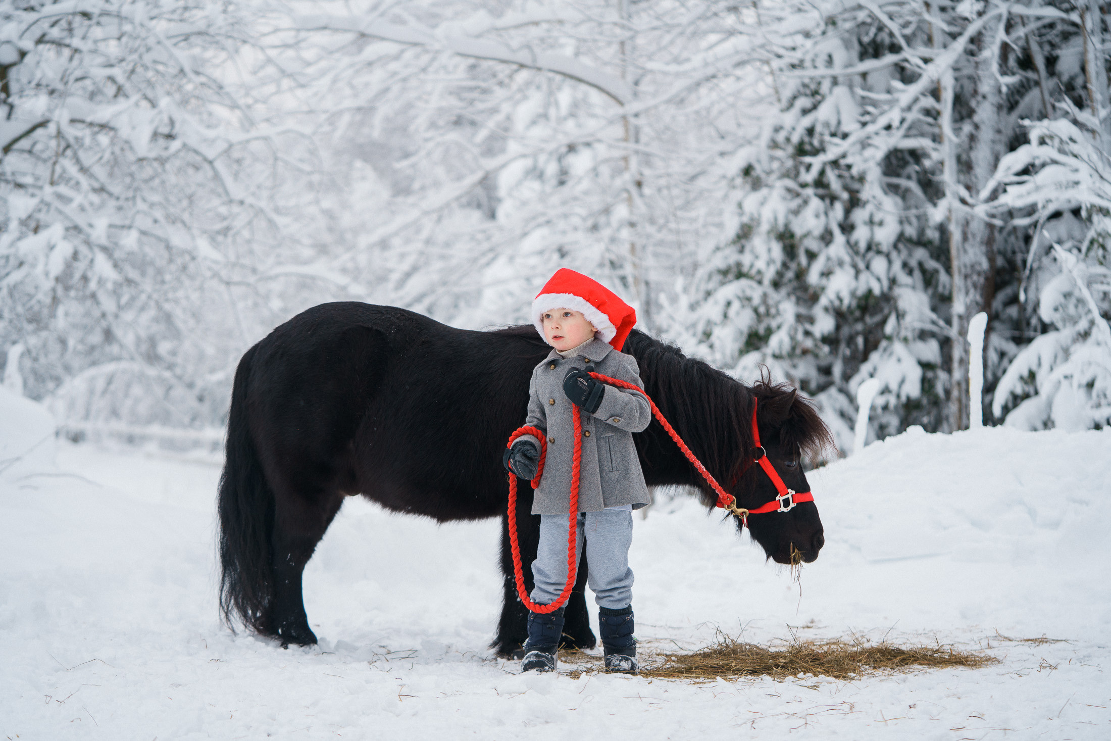 Joulukorttikuvaus 2022 miljöössä