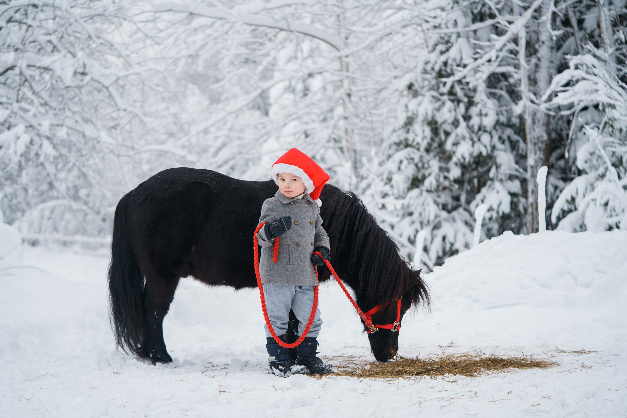 Lapsikuvaus kirkkonumella