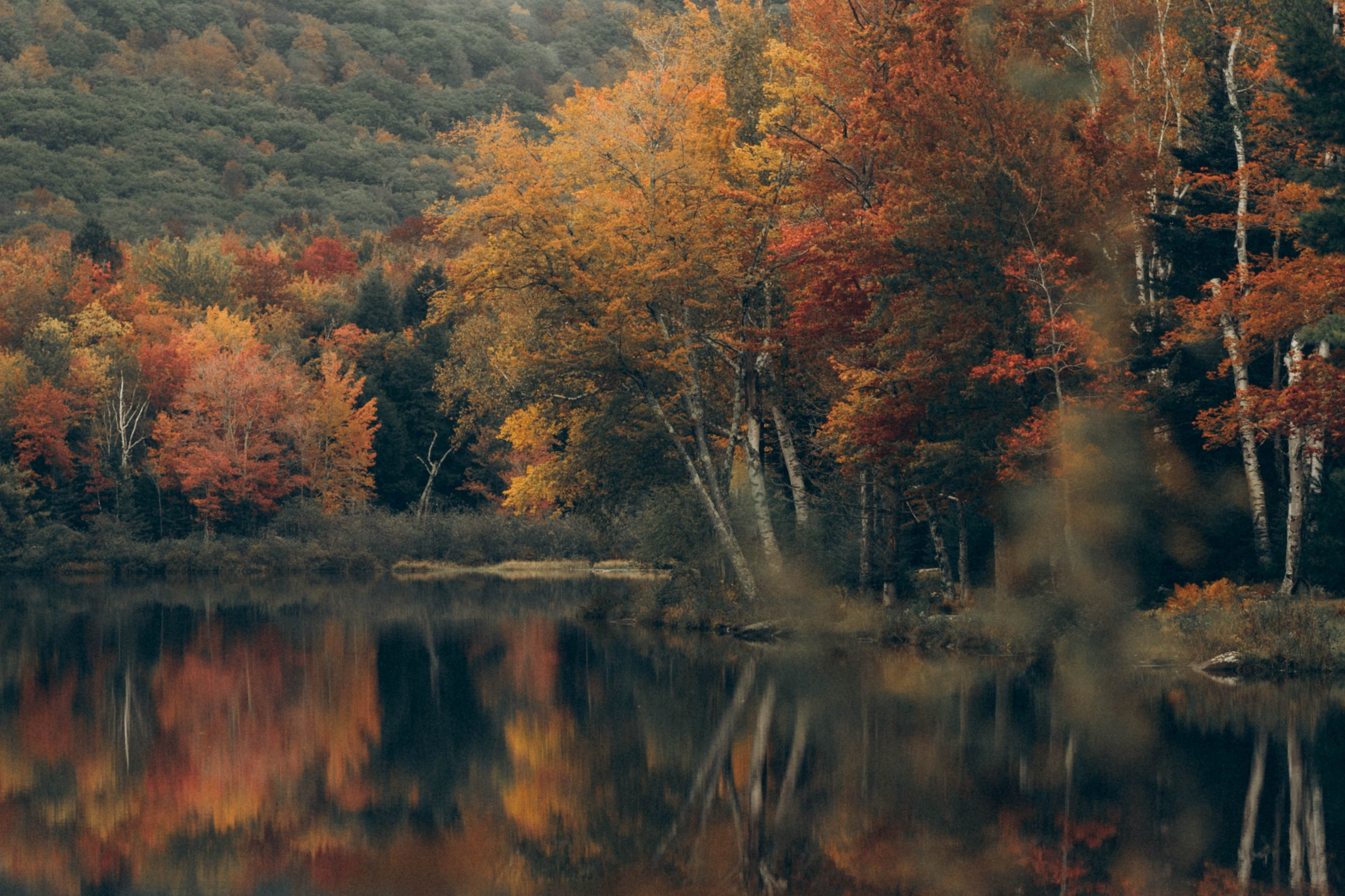 Fall wedding photography in Upstate New York