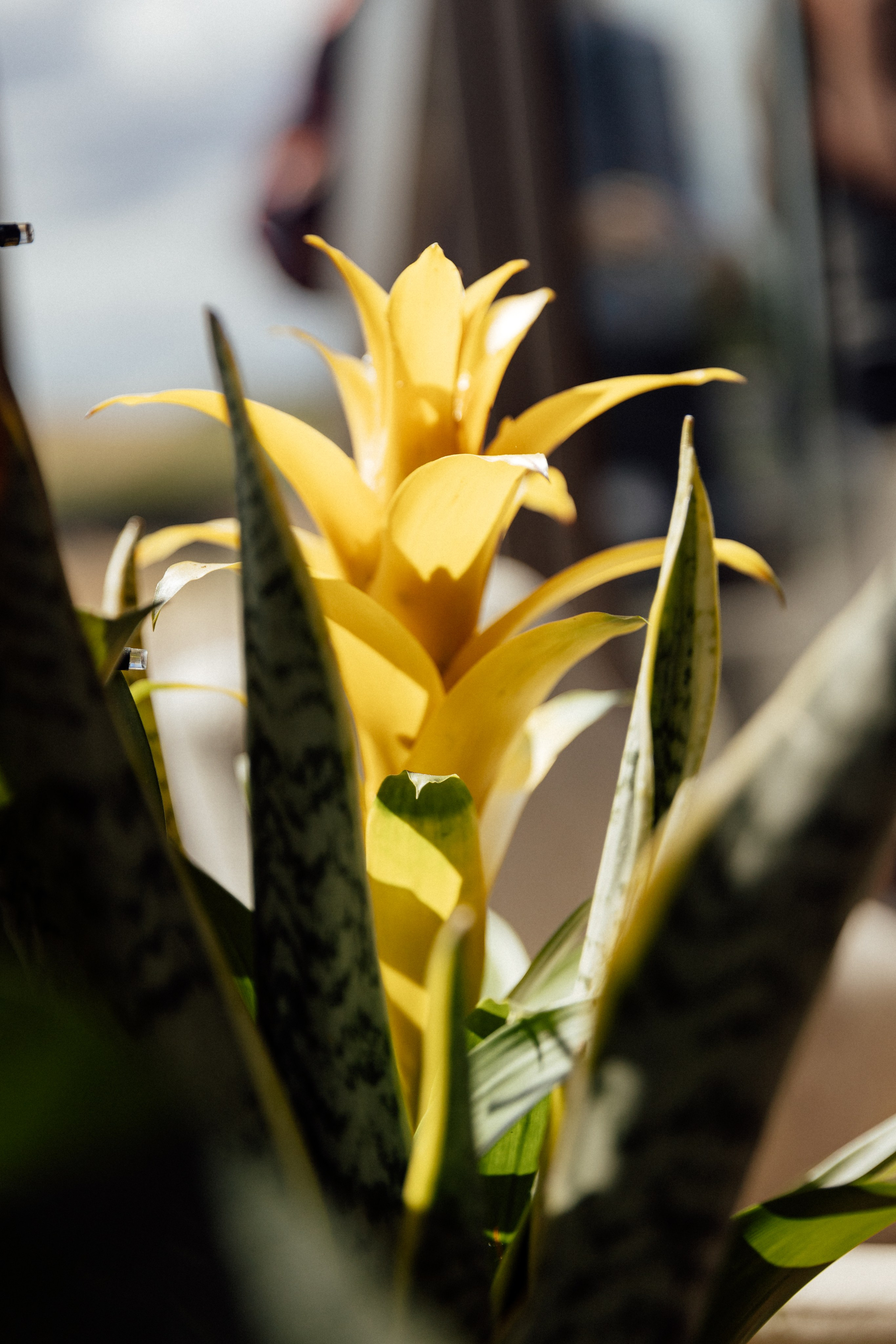 Elegant Wedding Photo Gallery in Hertfordshire. Timeless Wedding & Event Photography from London to the world