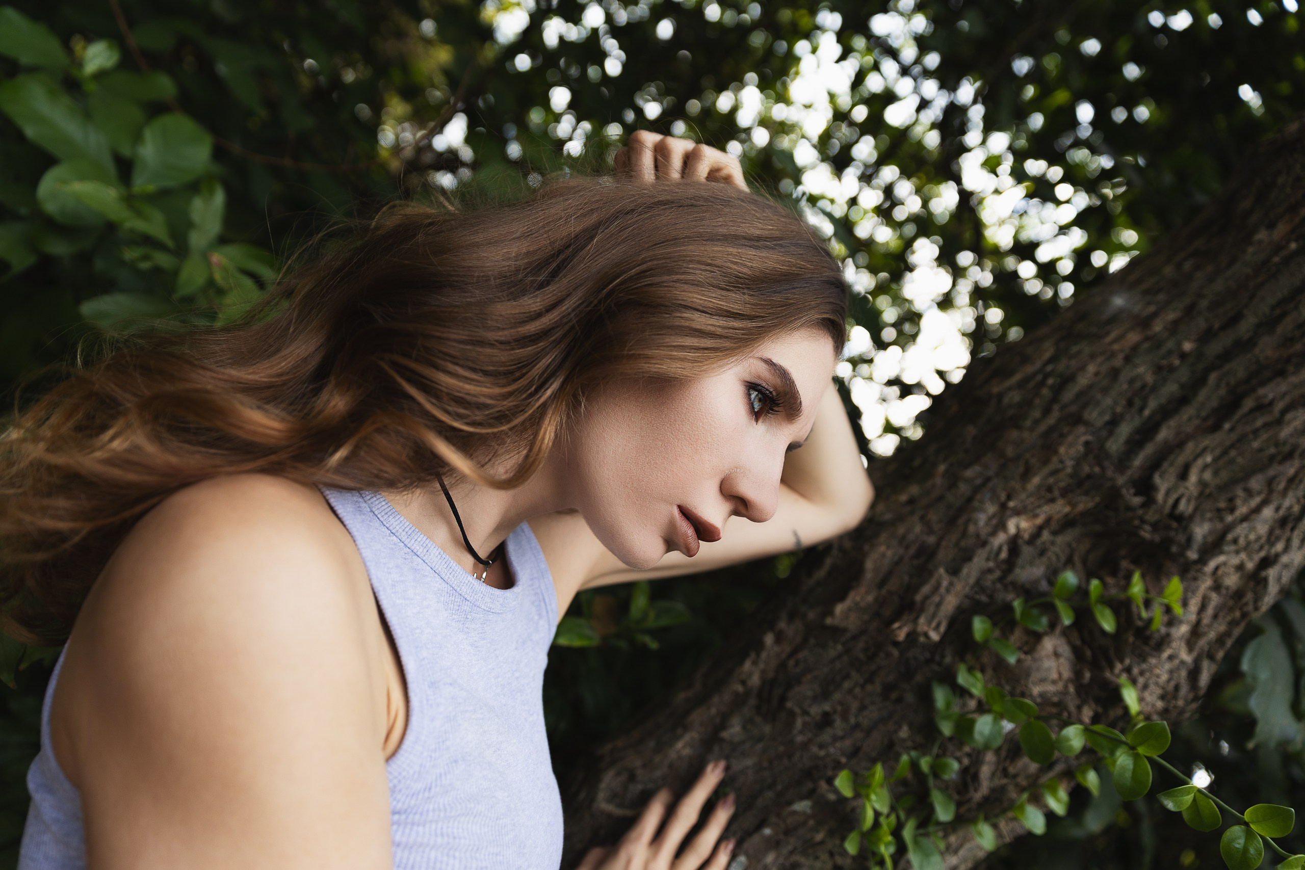 Diana morning in the forest