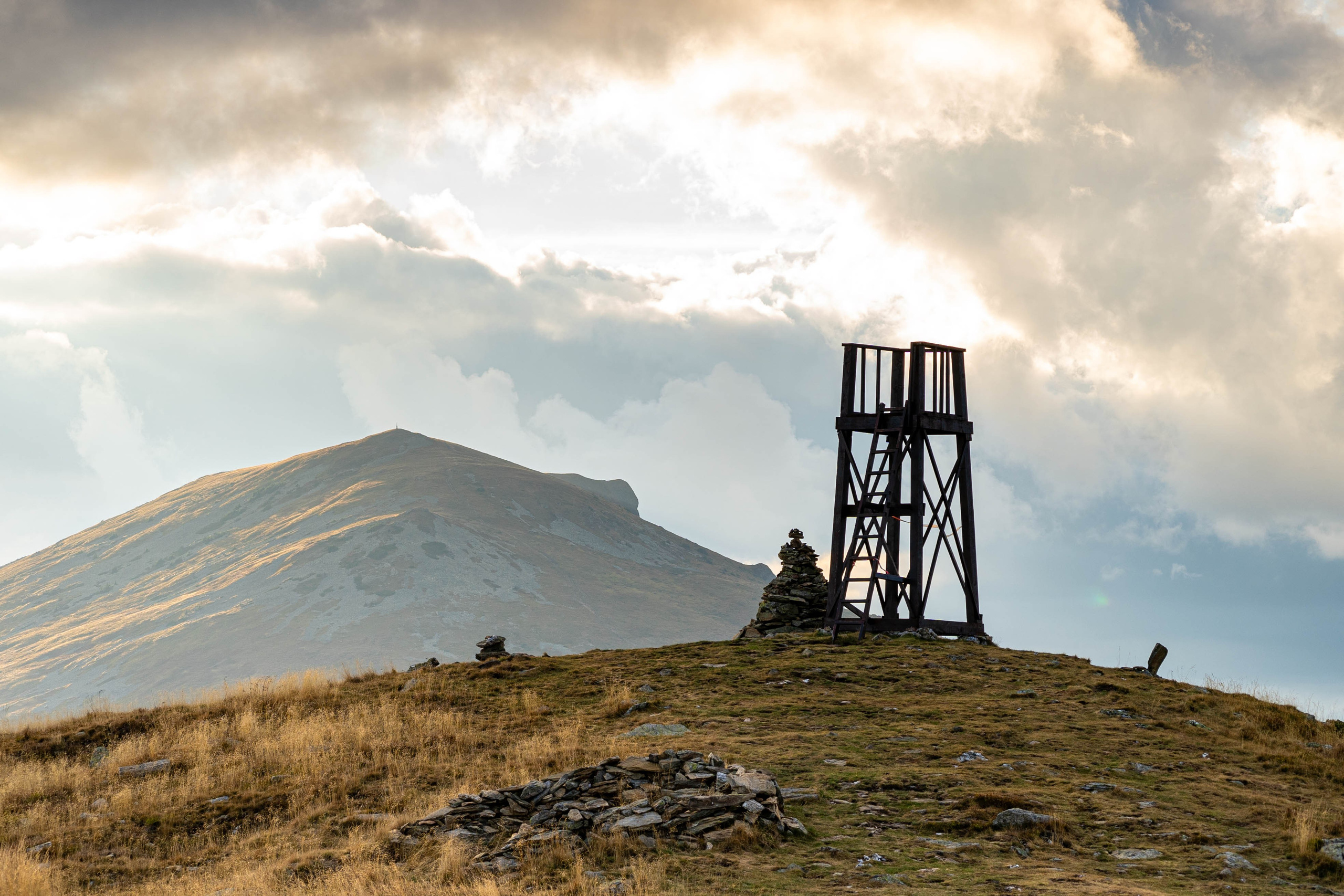 Nature. Alecsandru Braicu — Sports Photographer