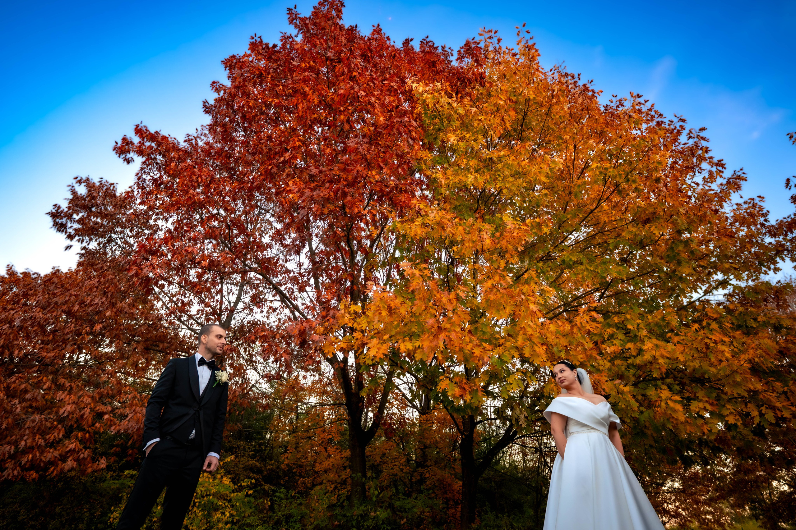 Gianina & Adrian. Fotograf nunta si evenimente Giurgiu