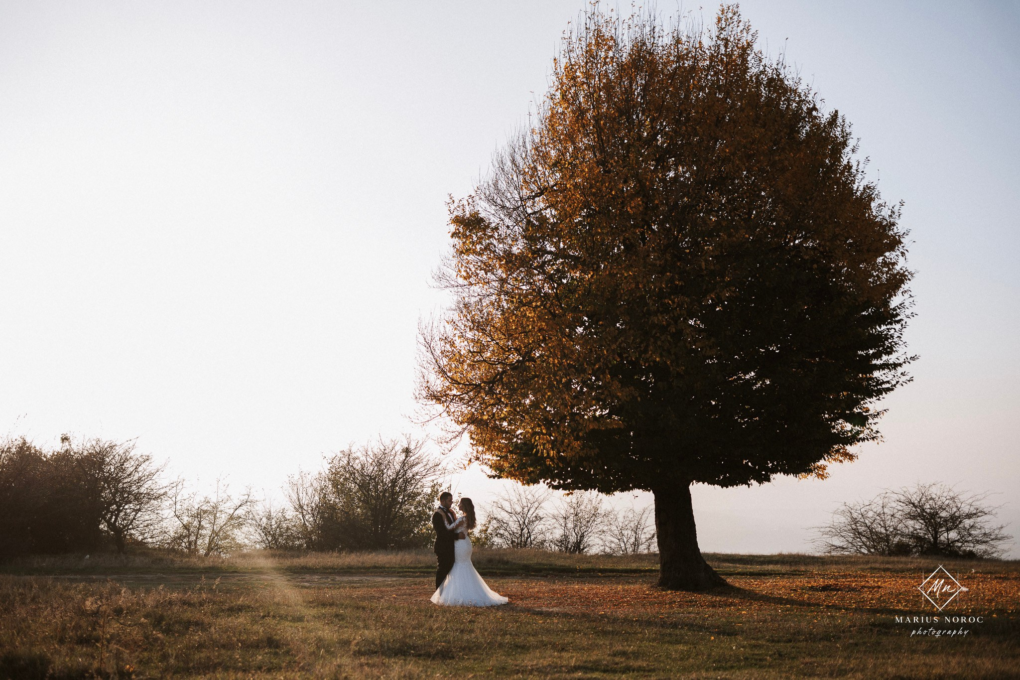 Alexandra & Laurentiu | Padurea Bucium Iasi
