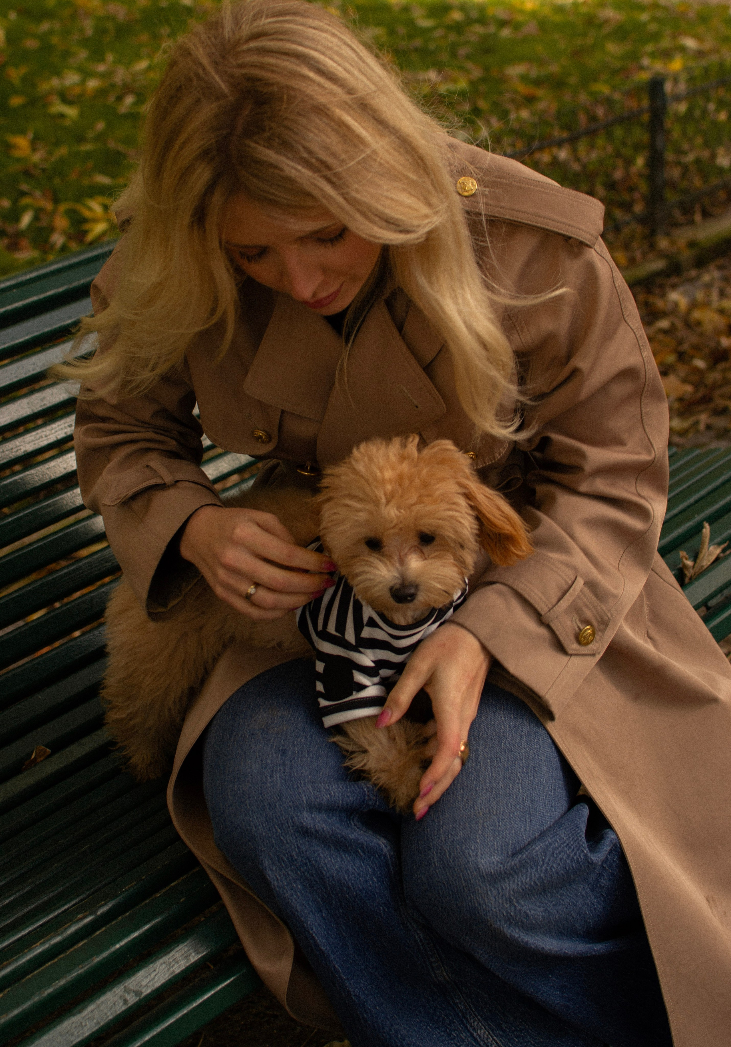 Barney, Nastya et Kolya. Photographe animalier à Paris Anna Pereira