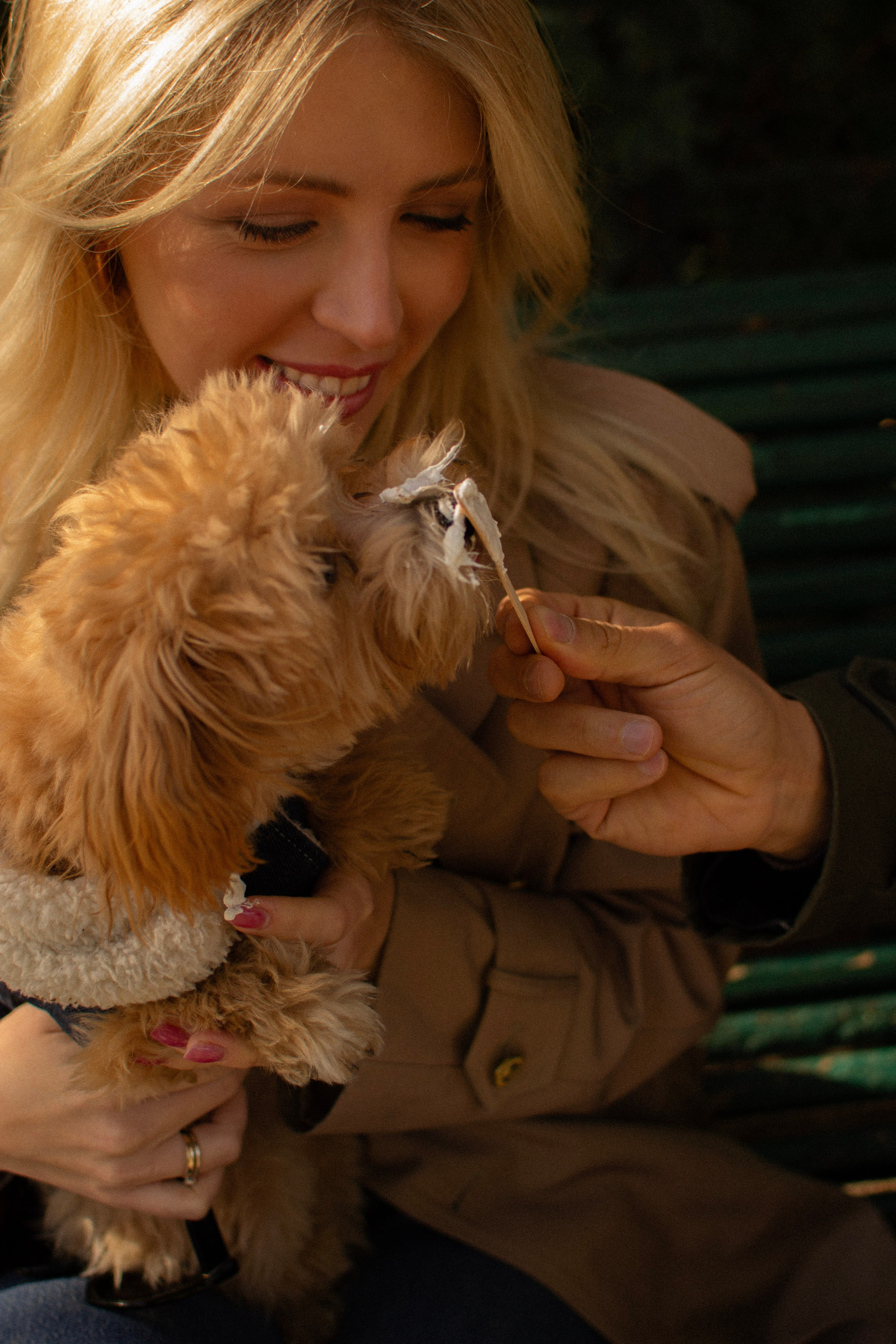 Barney, Nastya et Kolya. Photographe animalier à Paris Anna Pereira