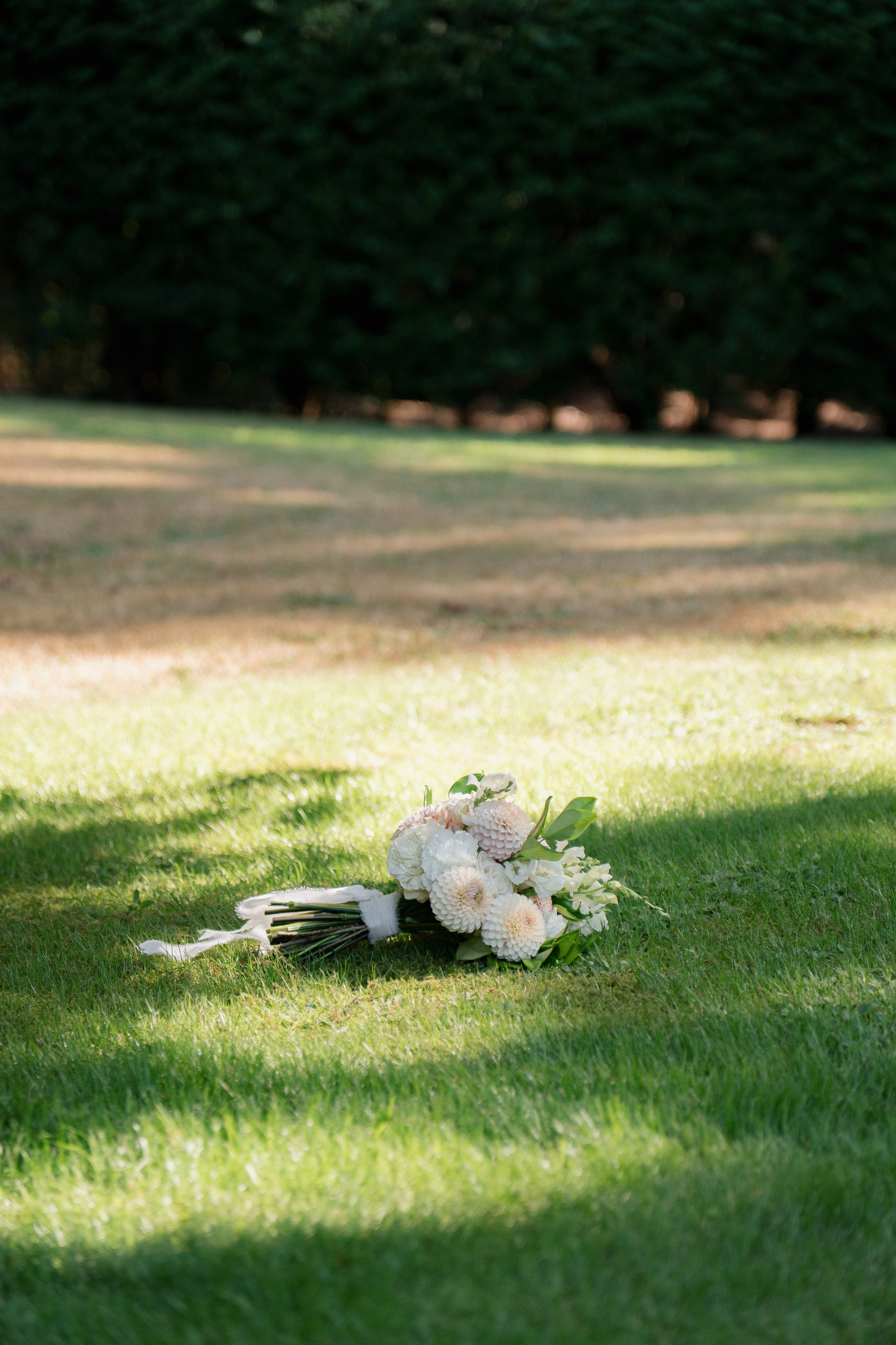 Arianna and Cristopher | Intimate Wedding. Photographer in Washington Sophia D