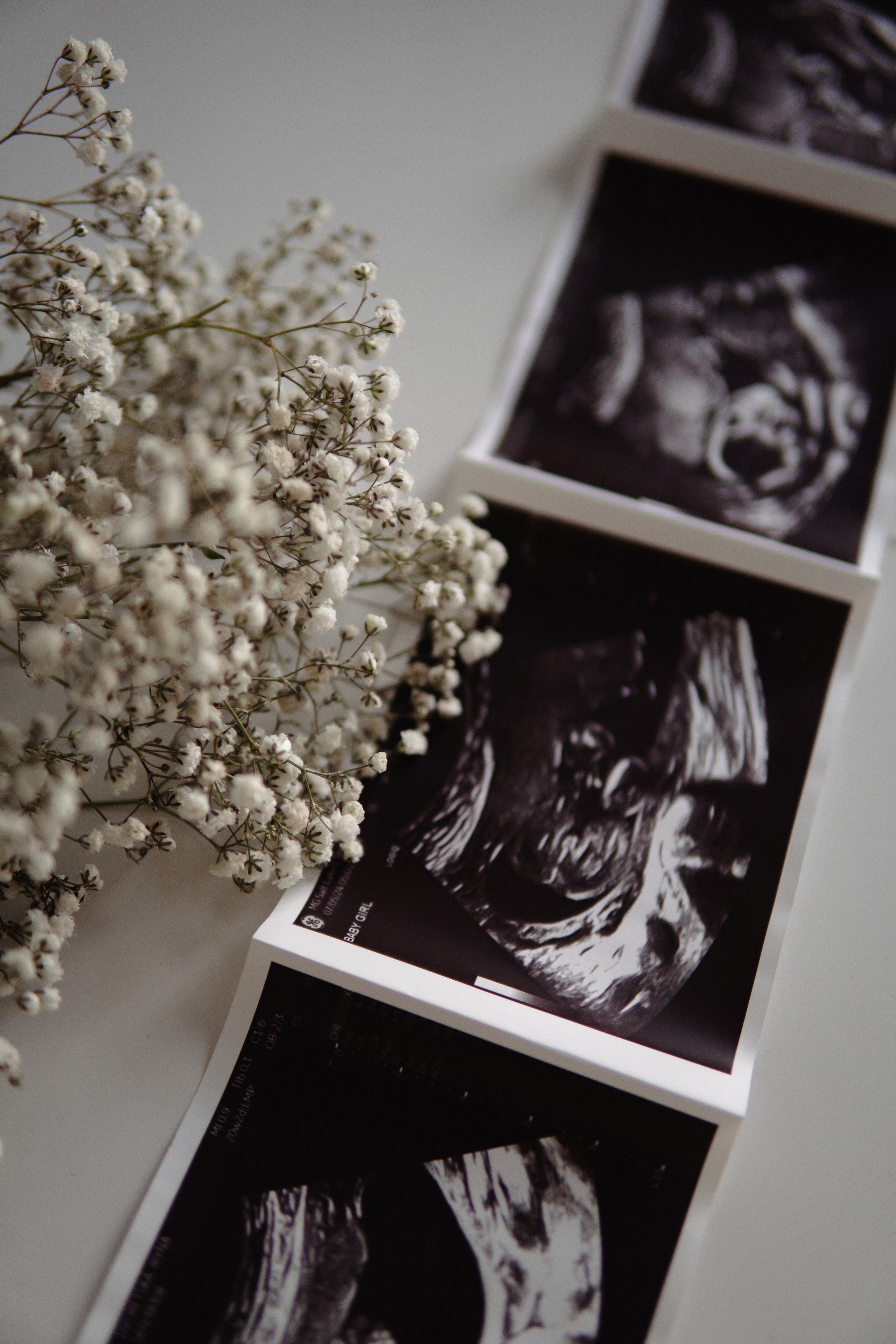 Irina maternity. Photographer in Washington Sophia D