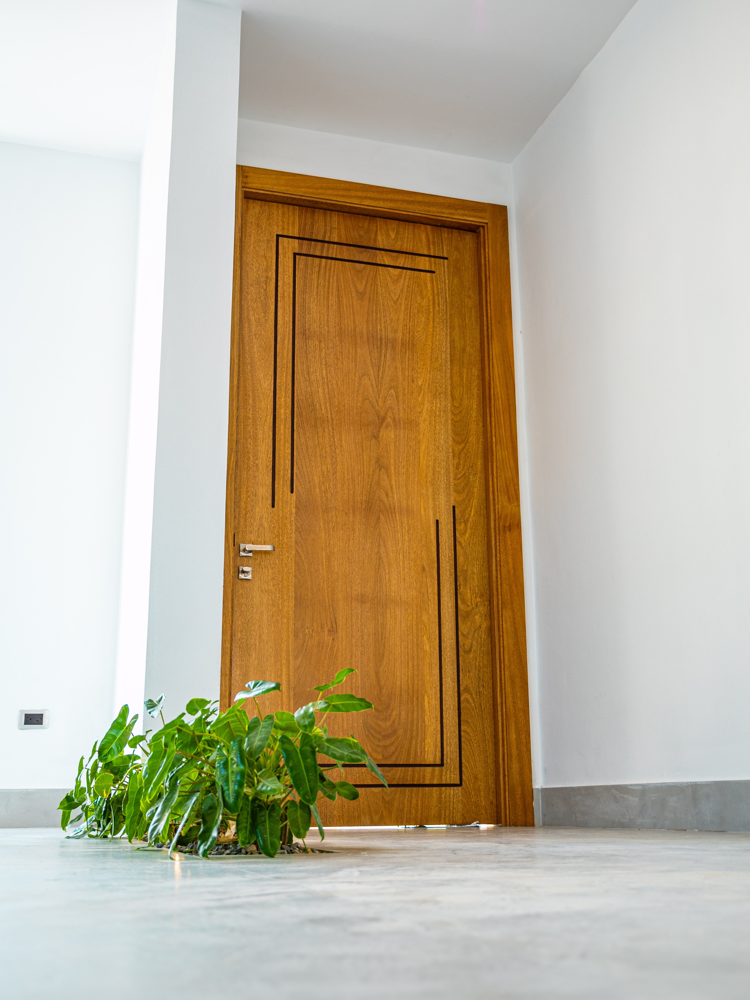 Ebanisteria Review - DAEM SRL. VisualAvalon