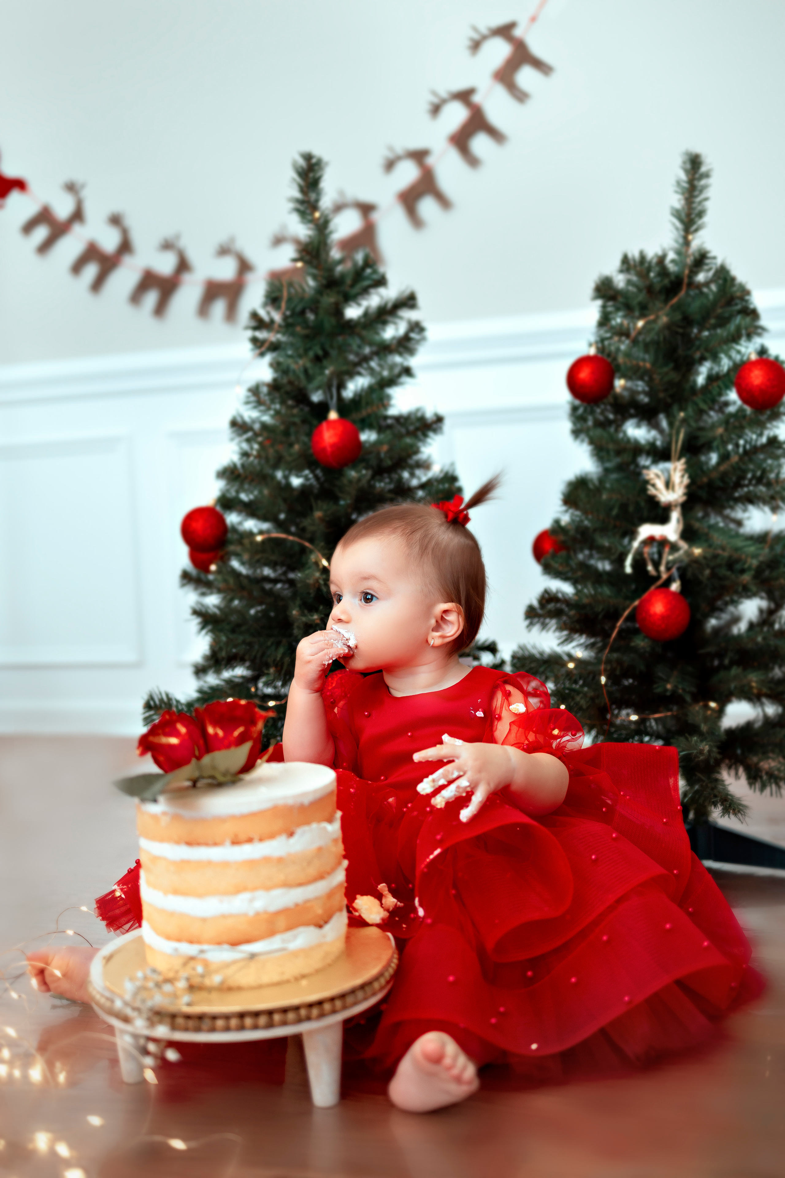 Smash cake. Anaeliseevaphoto.com