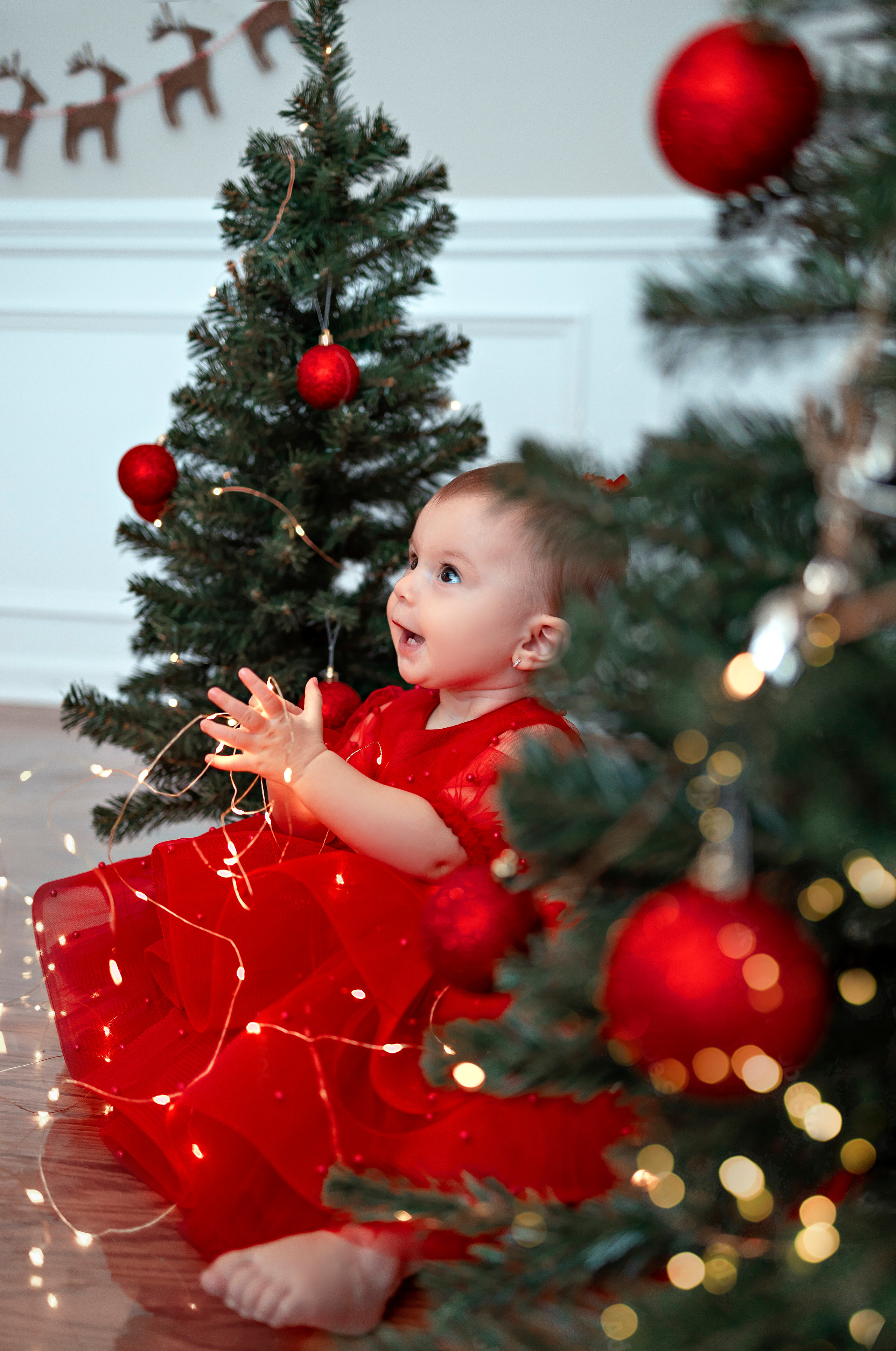 Smash cake. Anaeliseevaphoto.com