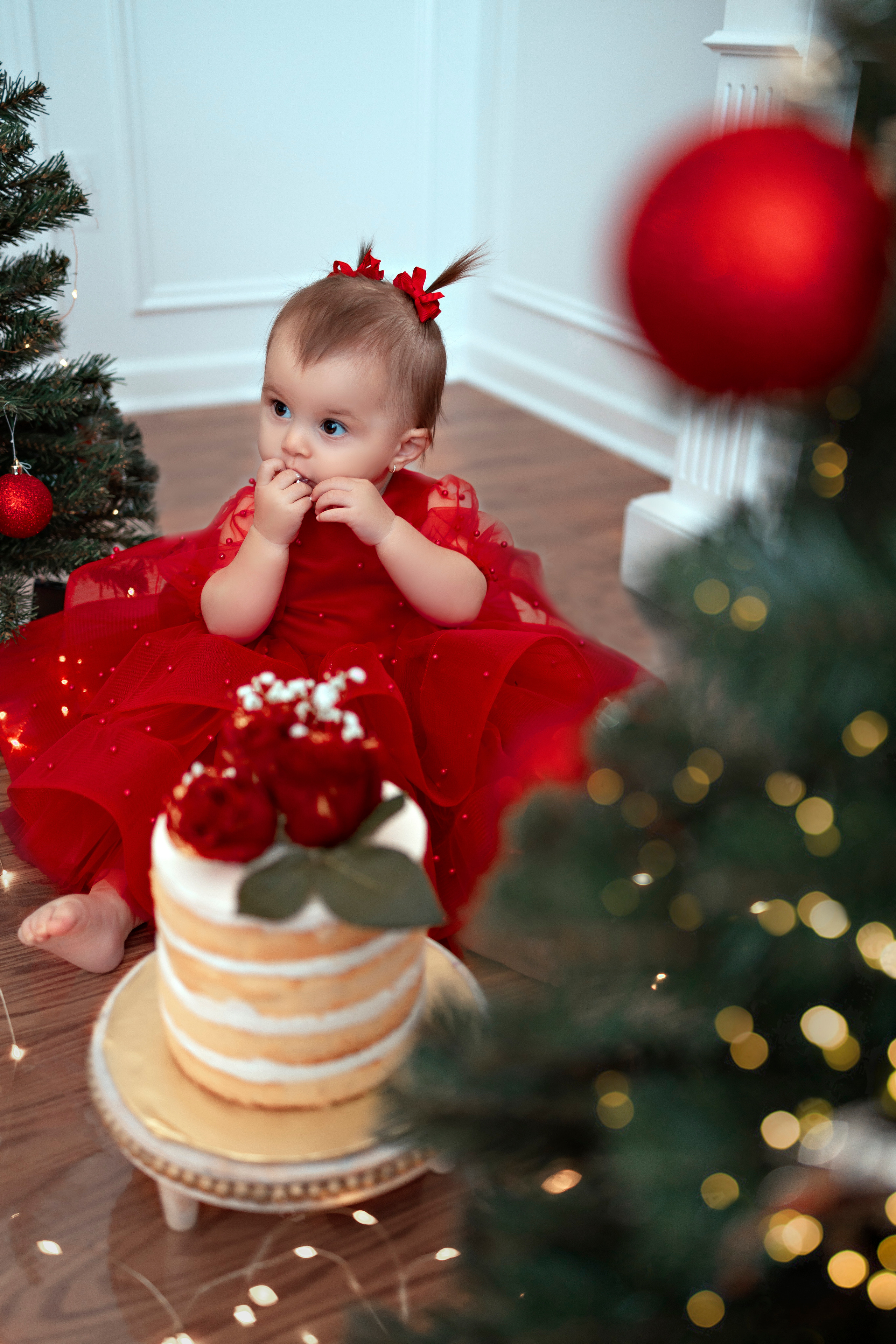 Smash cake. Anaeliseevaphoto.com