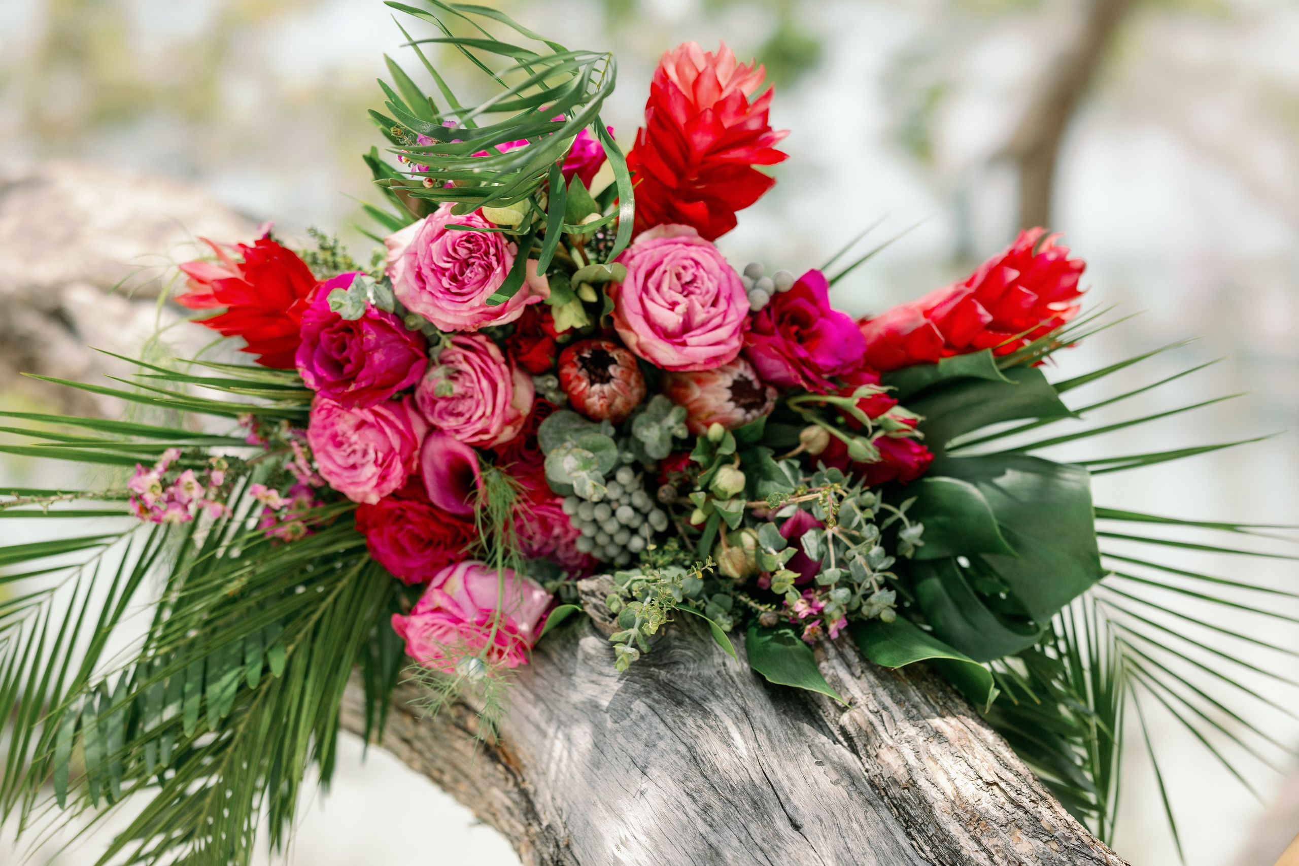 Abigail & Kathryn. Family and Event photographer in Homestead and Miami areas of Florida