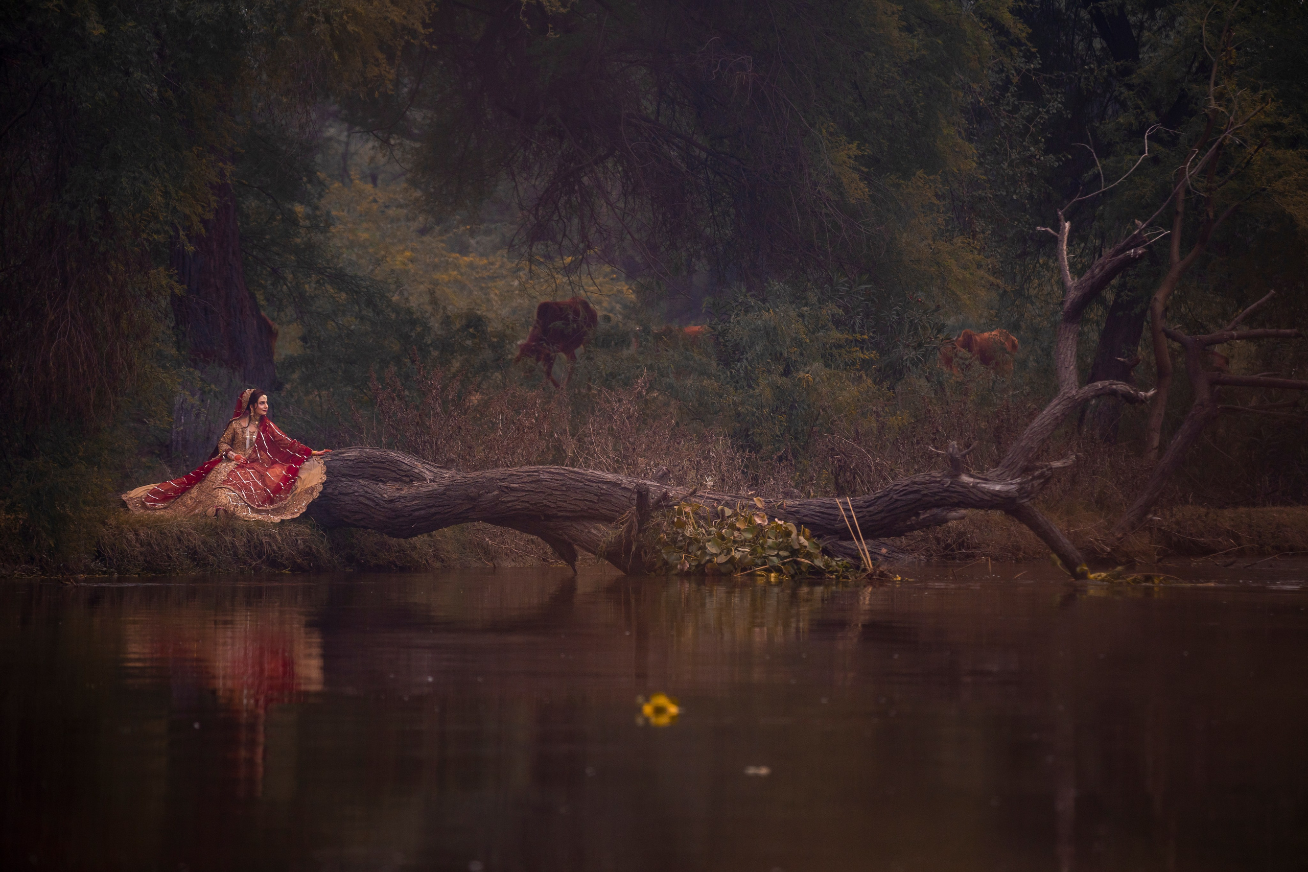 Portfolio. Chaar Bhai — Your Personal Family Historians