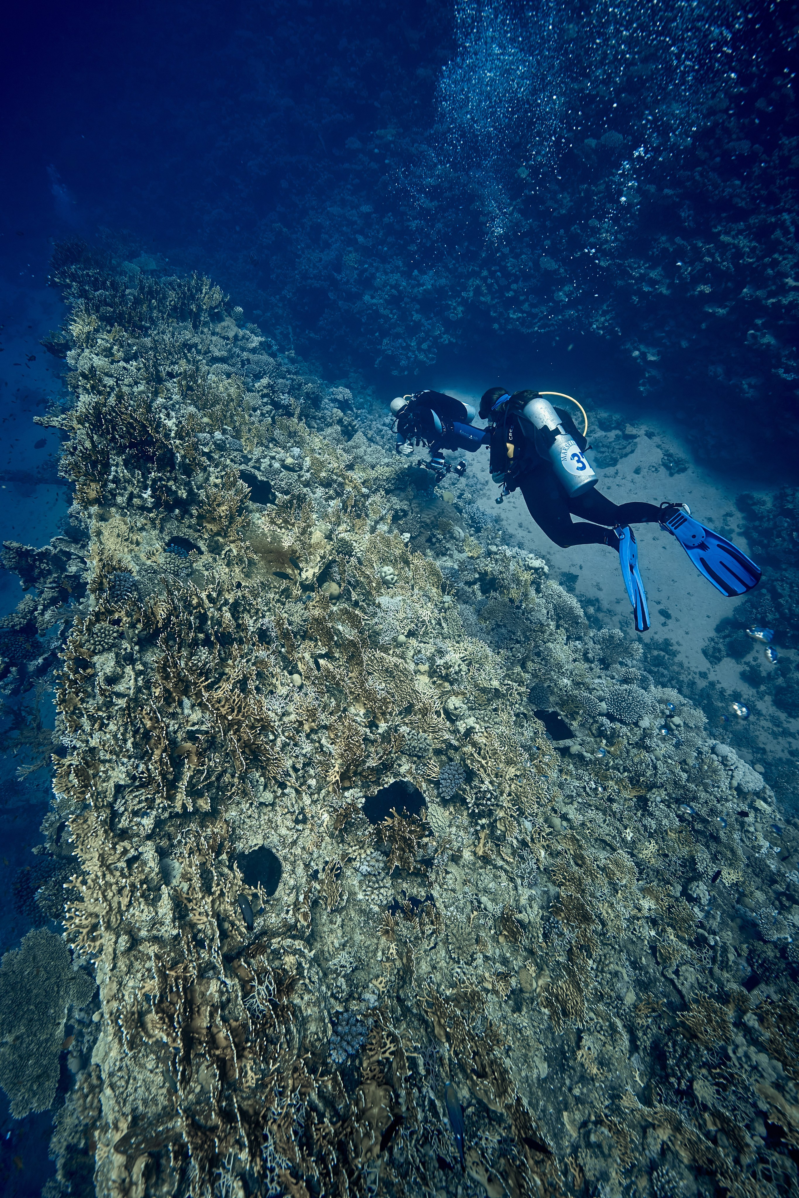 Podwodny fotograf - Andriej Szypiłow - zdjęcia wraków. Andriej Szypilow - Fotografia & Wideografia