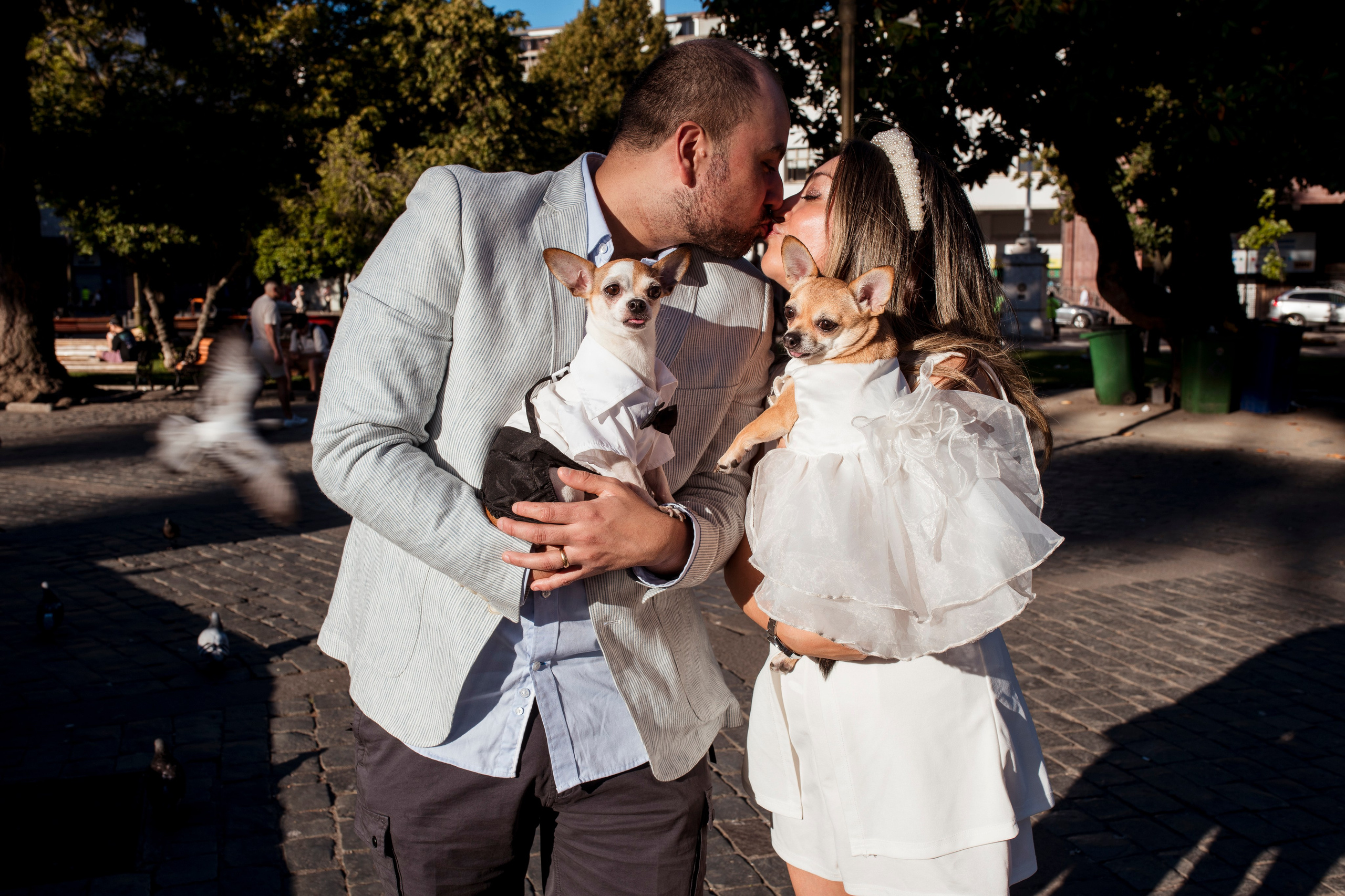 Broshkana y Daniel - Concepción, Diciembre 2025. Wedding photographer AyF Fotografías