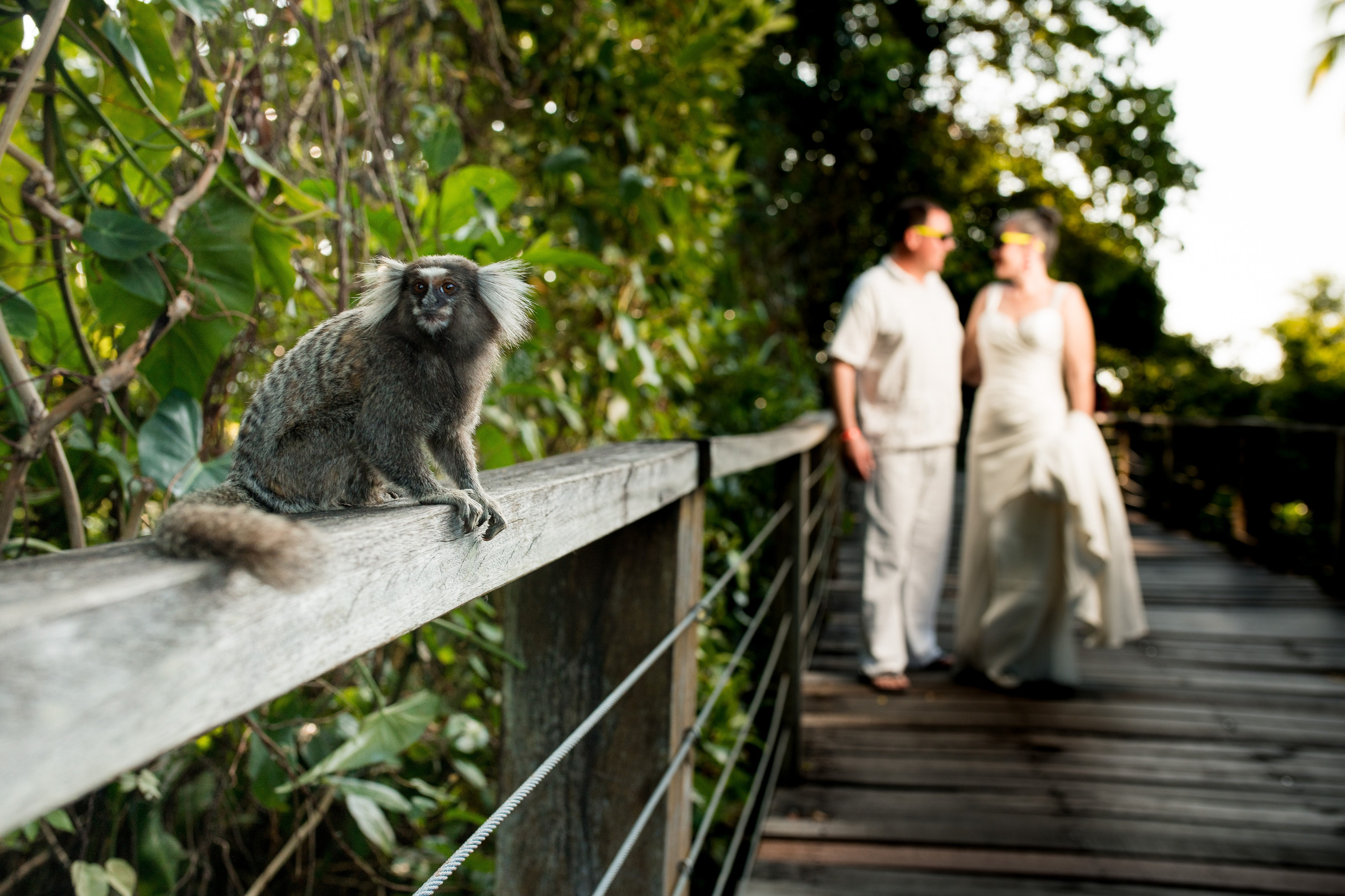 Gabriela y Genaro, Salvador de Bahía - Brasil. Wedding photographer AyF Fotografías