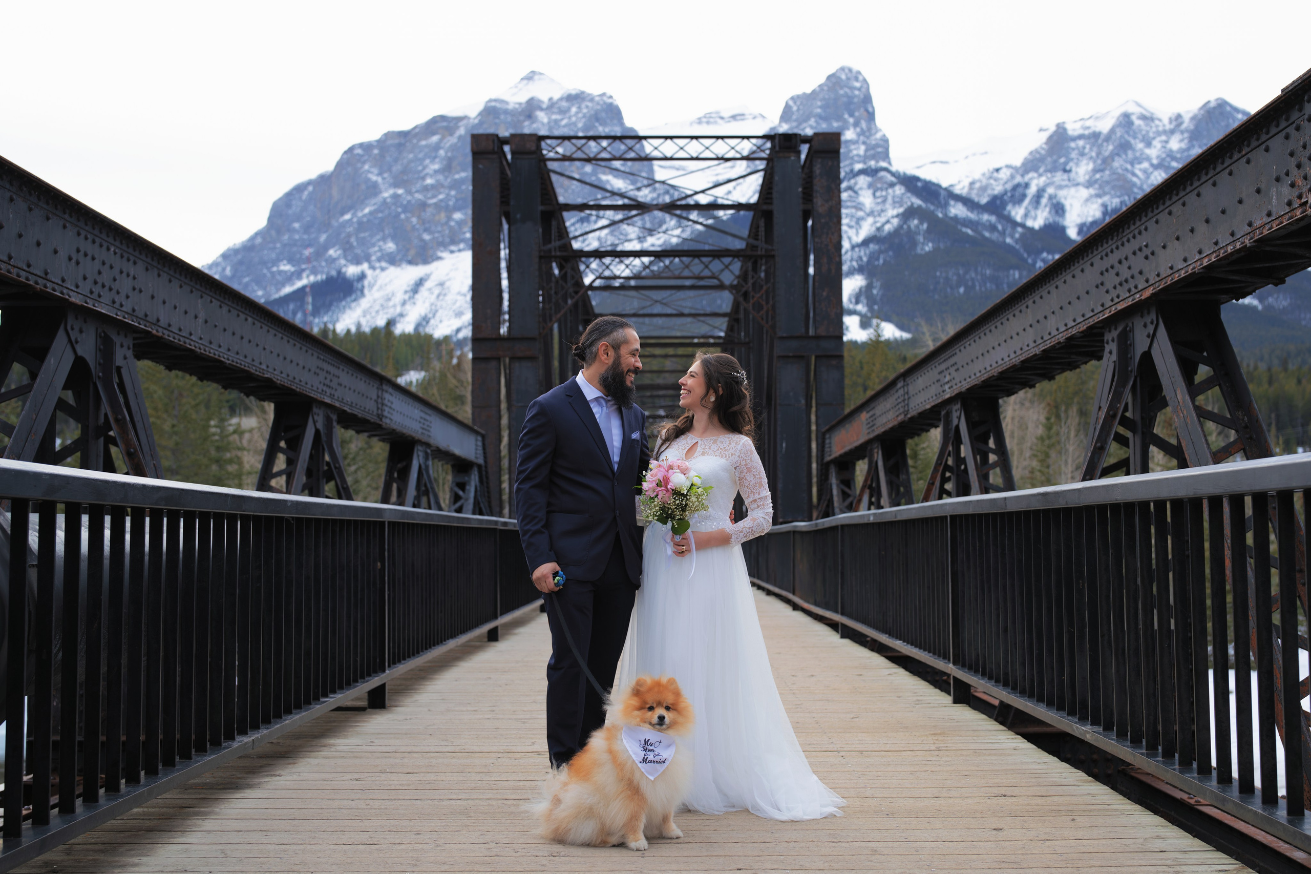 Ani + Elton. Allo Photography by Carlos Lima  in Calgary
