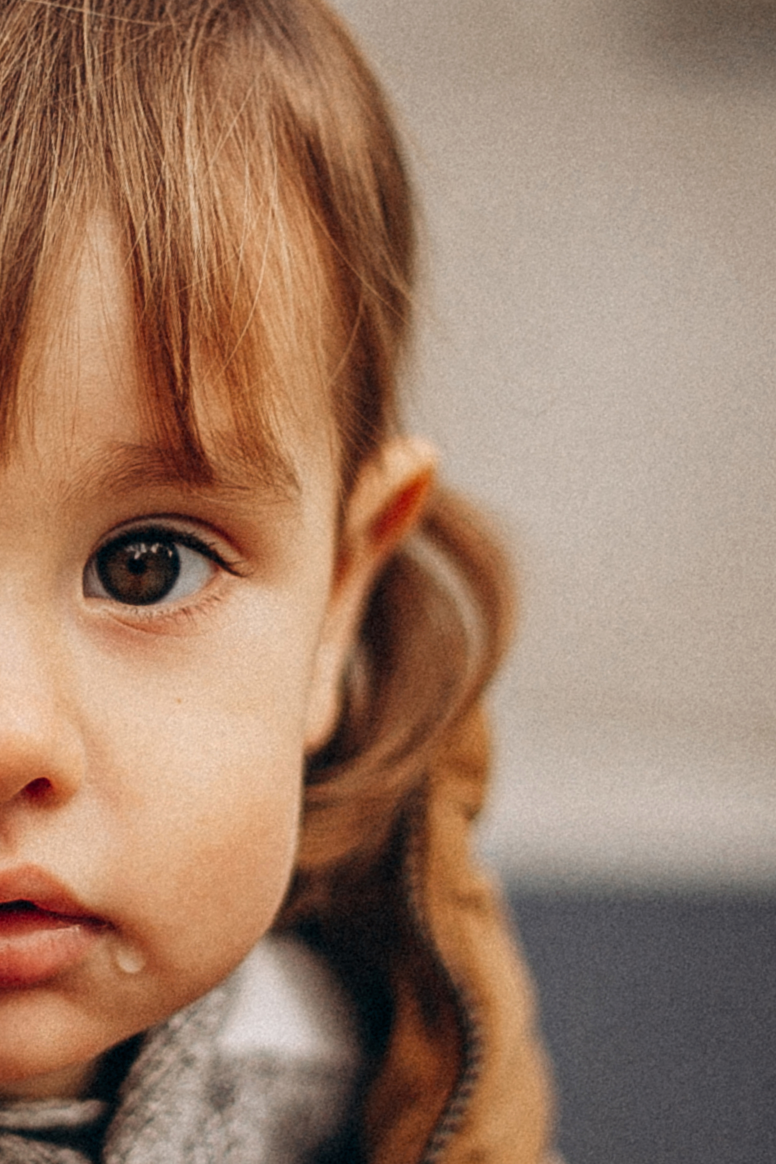 Твердохлебовы